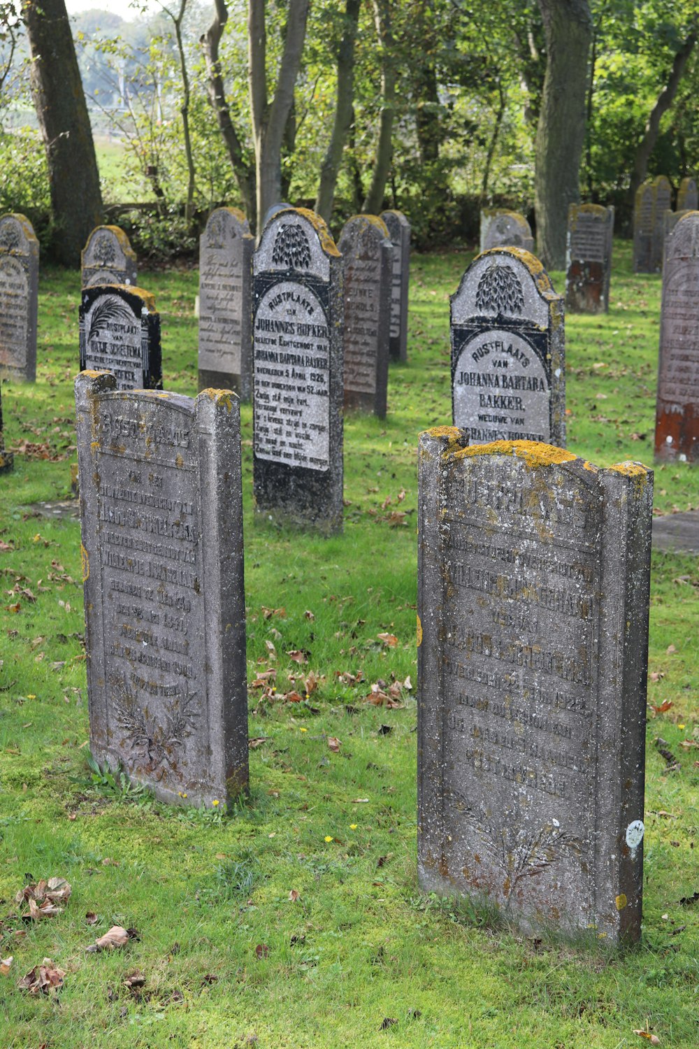 a group of headstones in a cemetery with trees in the background