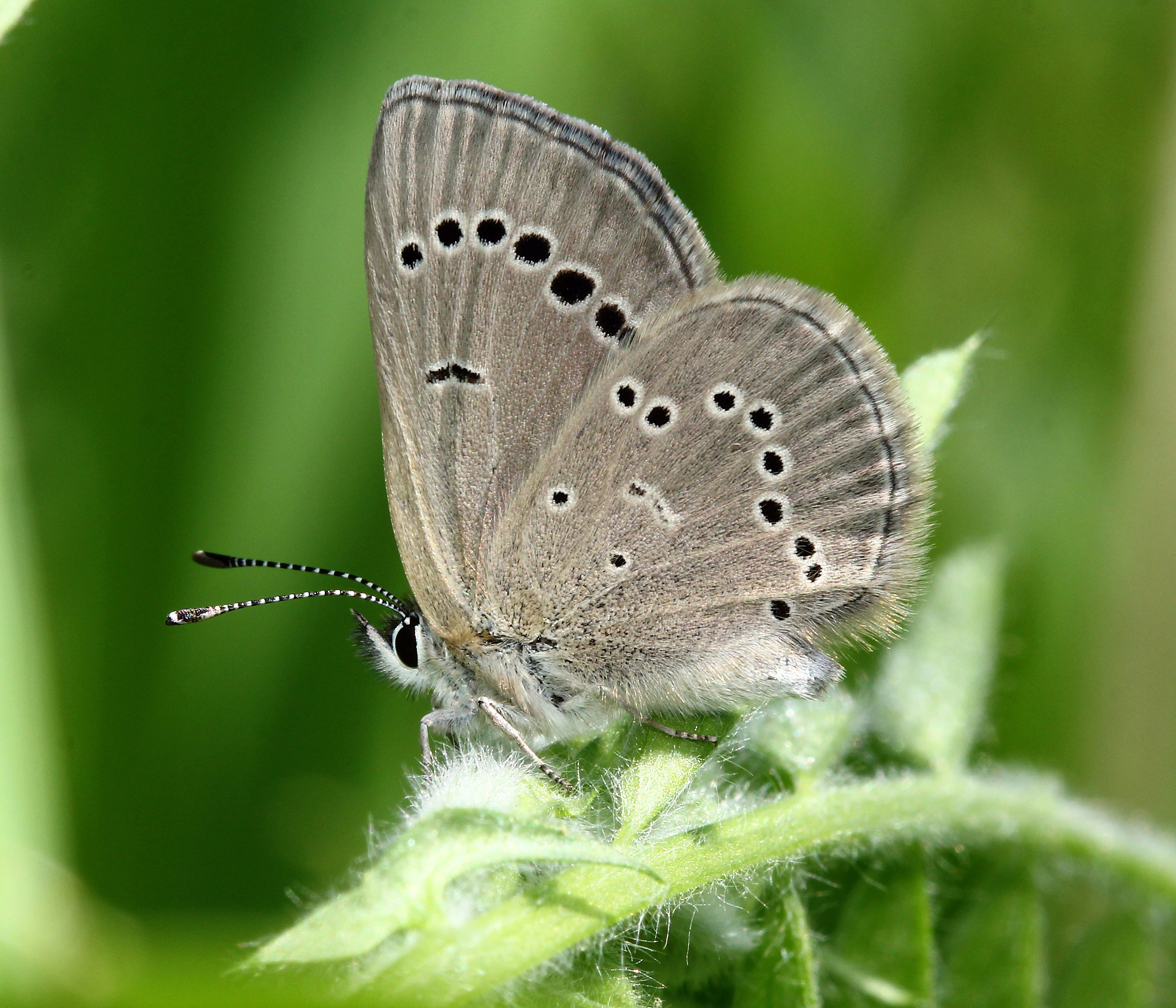 Photo by telliottmbamsc