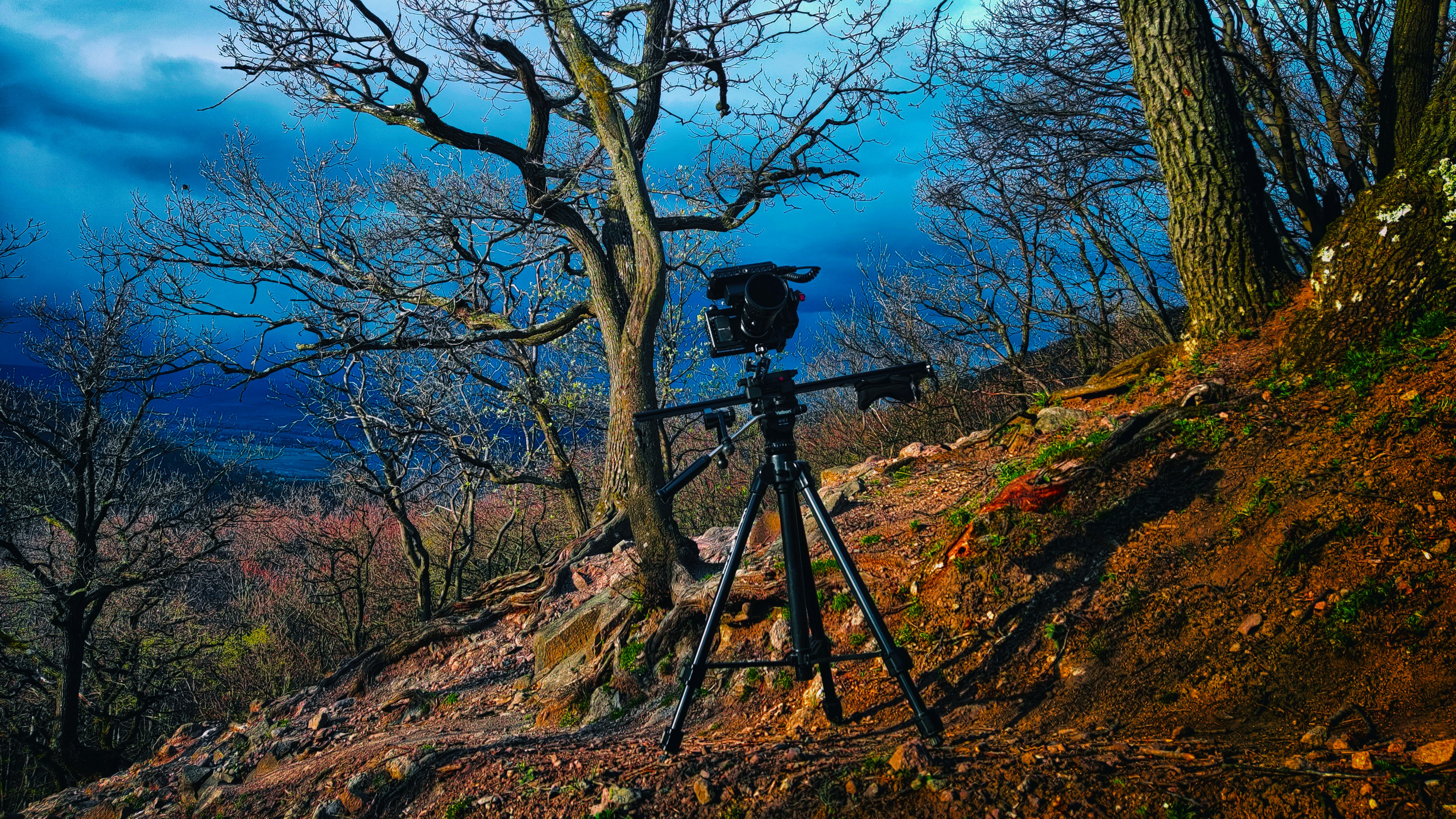 Un appareil photo installé sur un trépied dans les bois