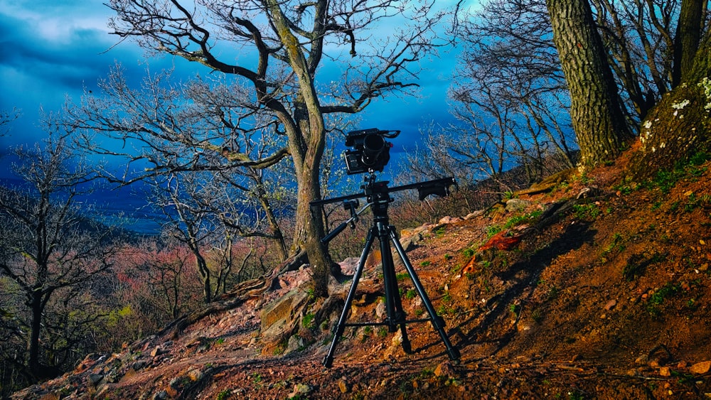 a camera set up on a tripod in the woods