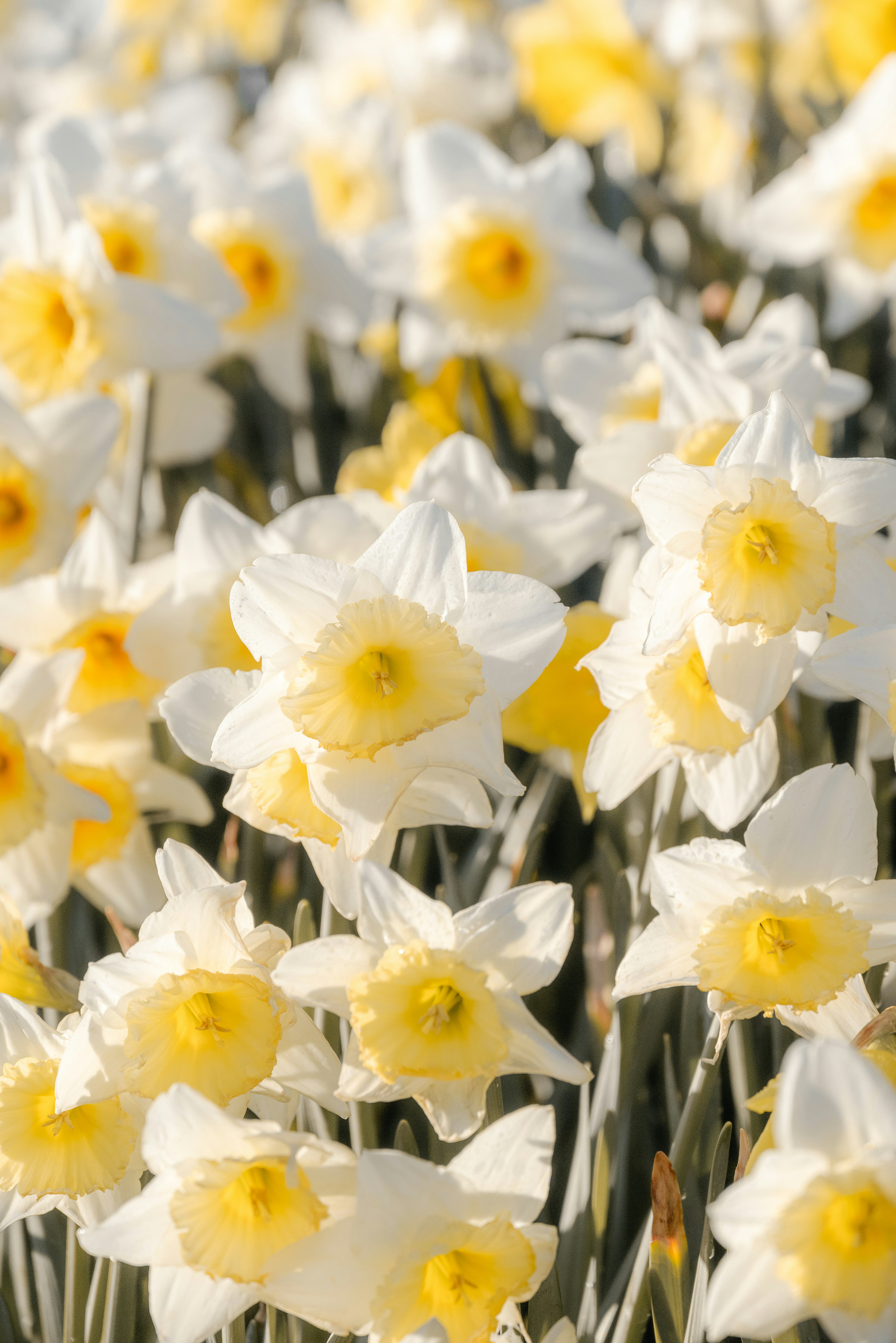 Photo by jetztabertempo