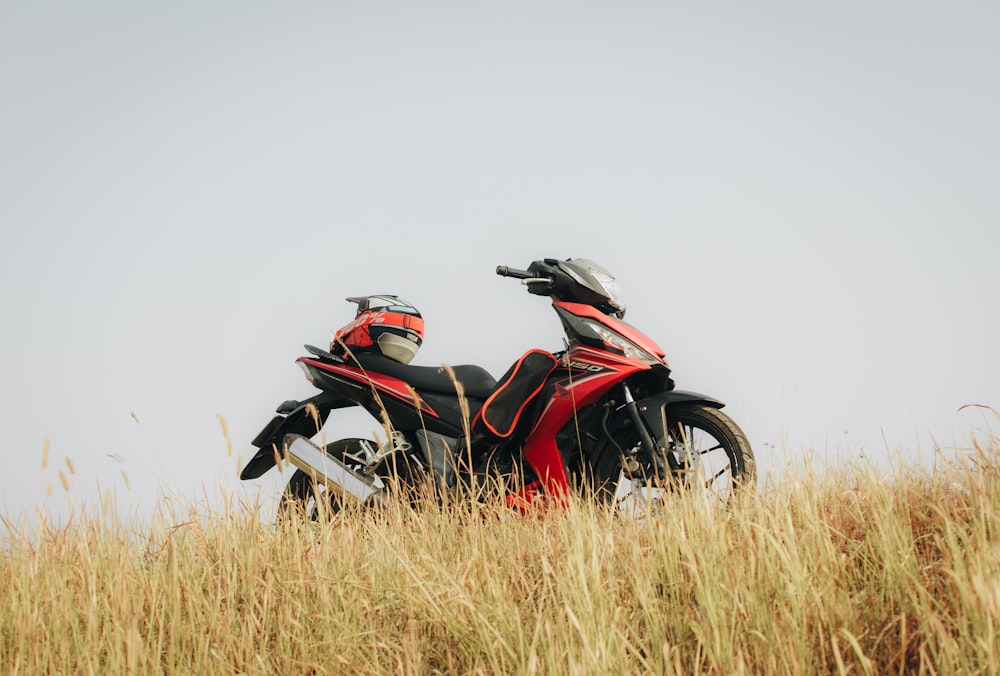 two motorcycles parked in a field of tall grass