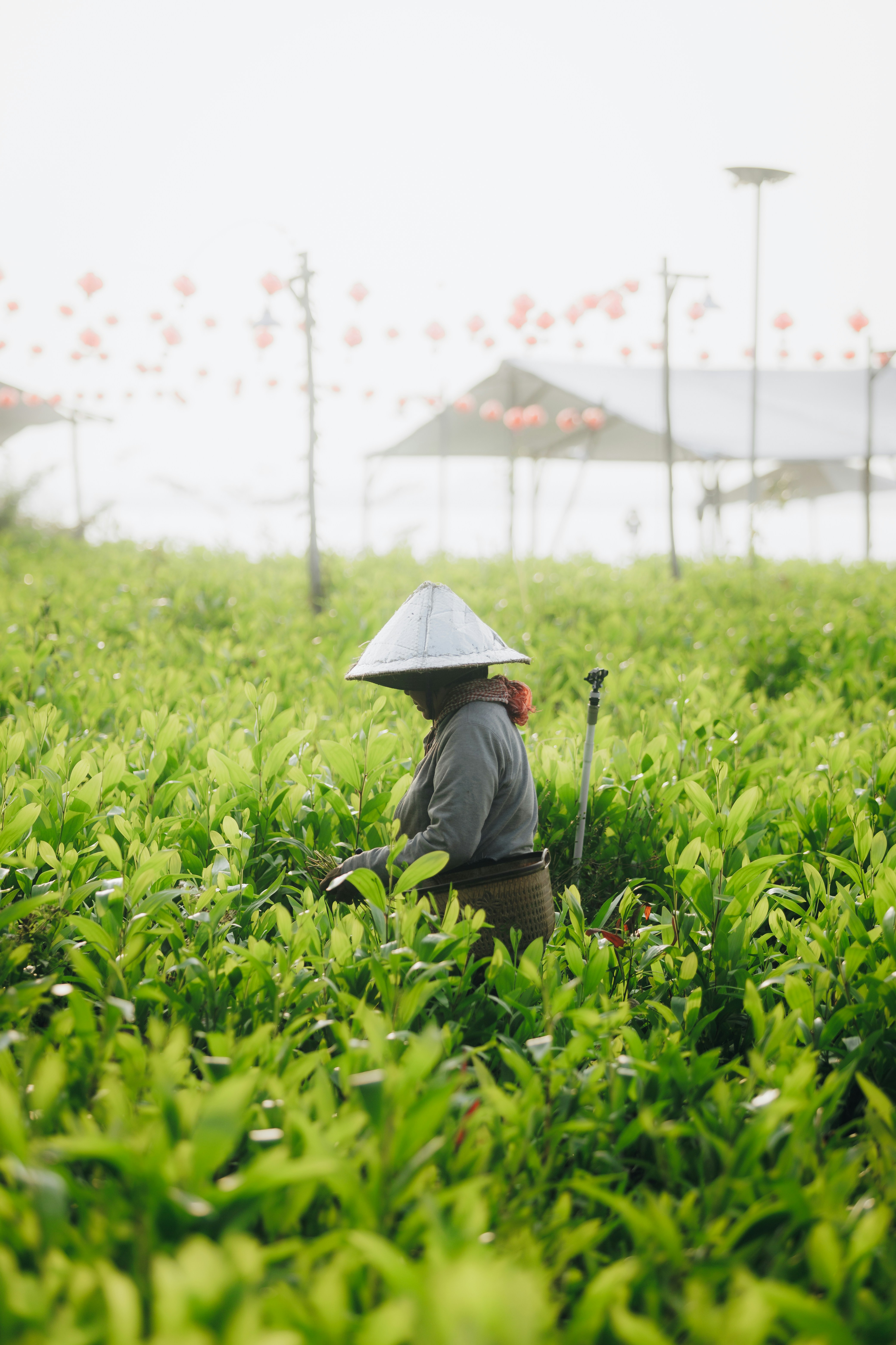 Photo by chuchu123456