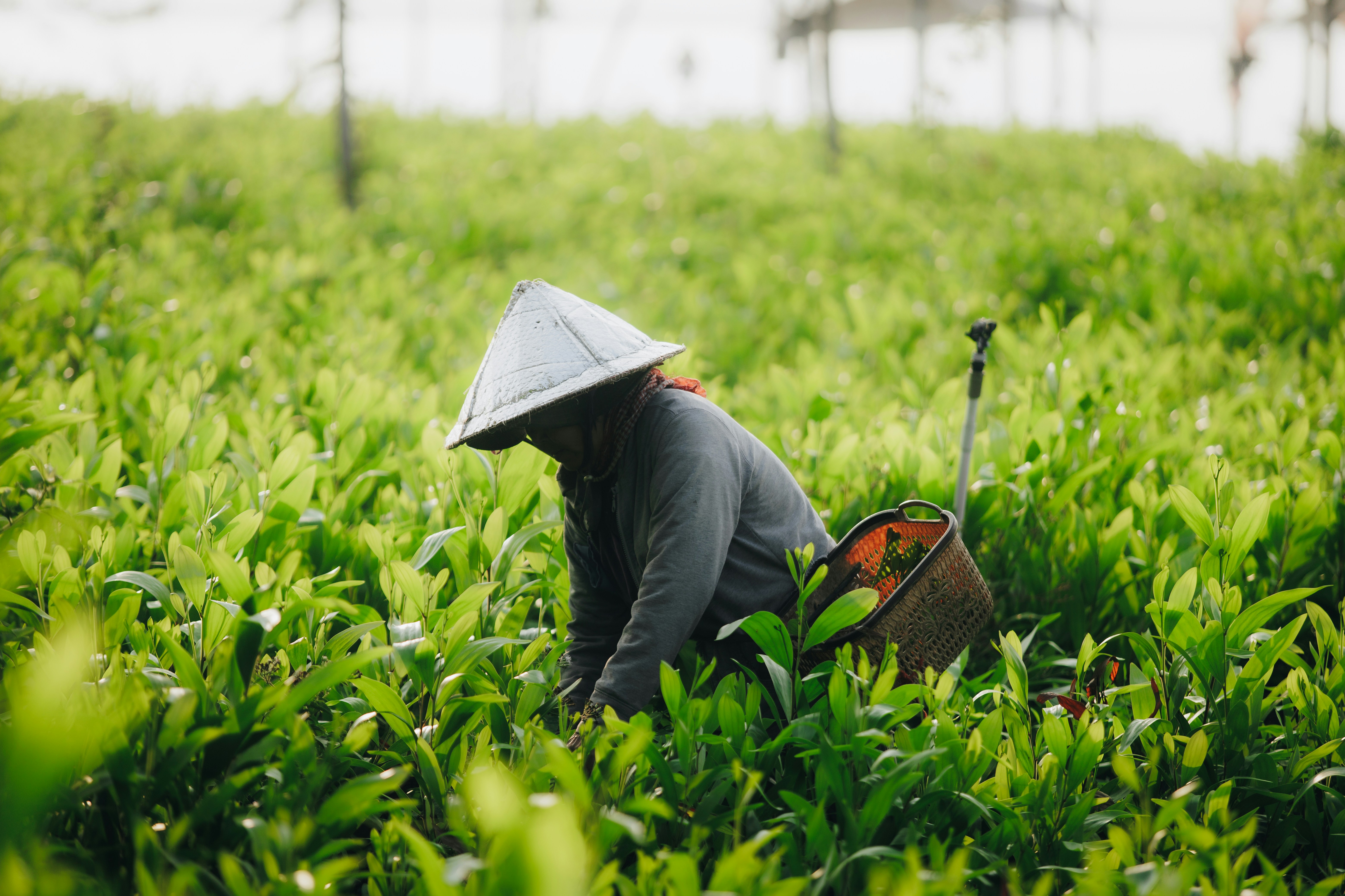 a person kneeling in a field with a hat on