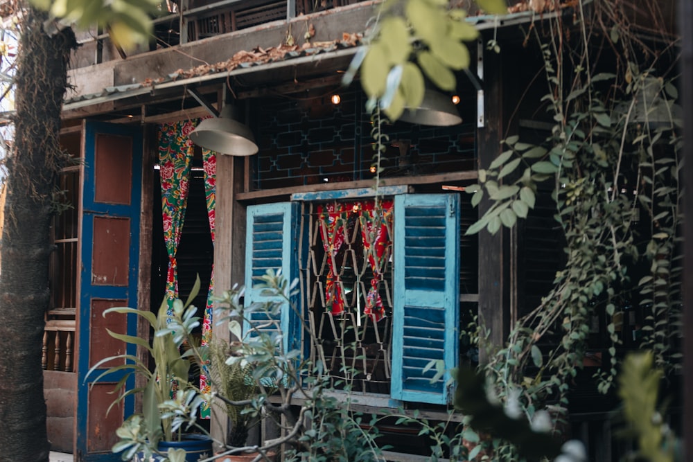 a building with blue shutters and plants in front of it