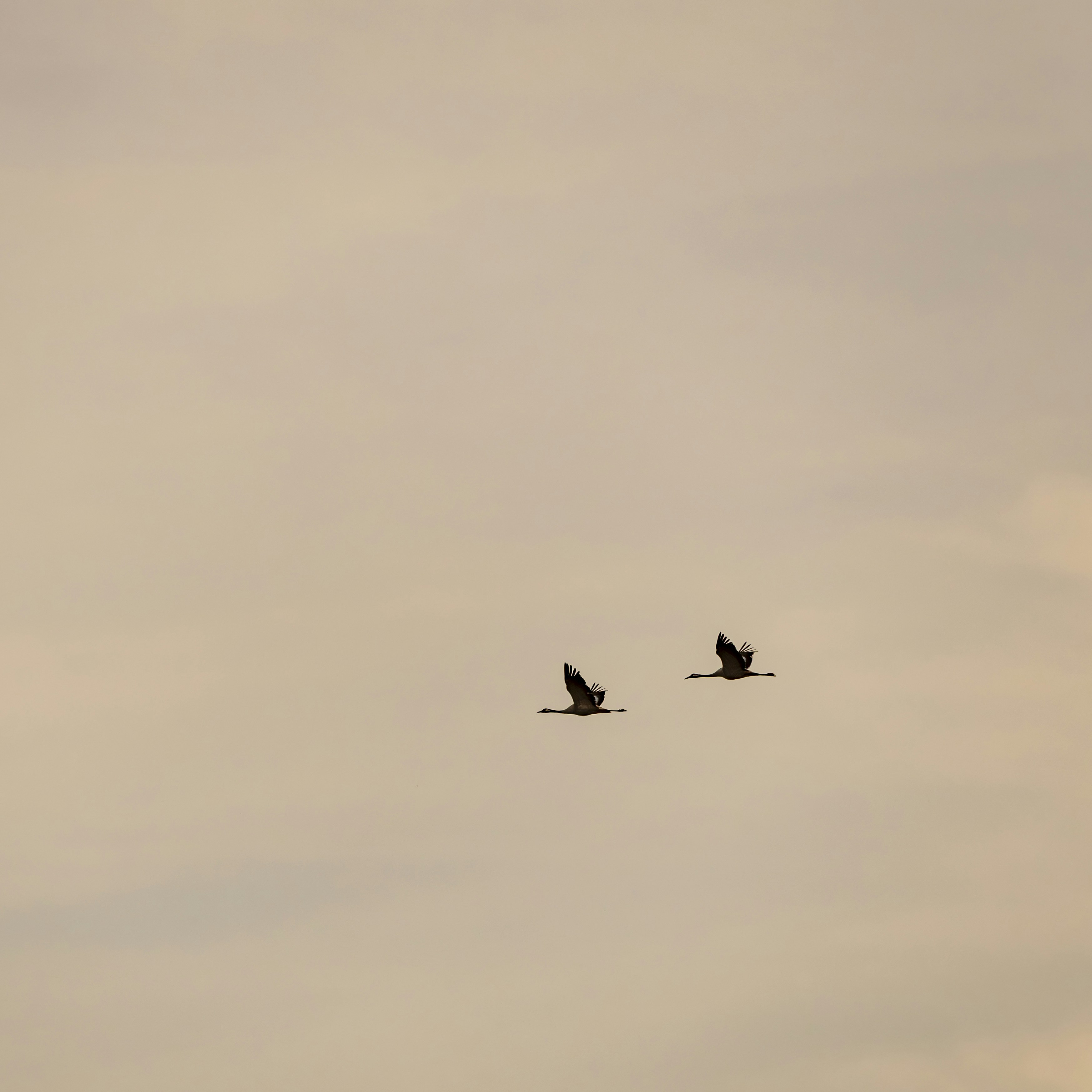 Photo by matthieur68