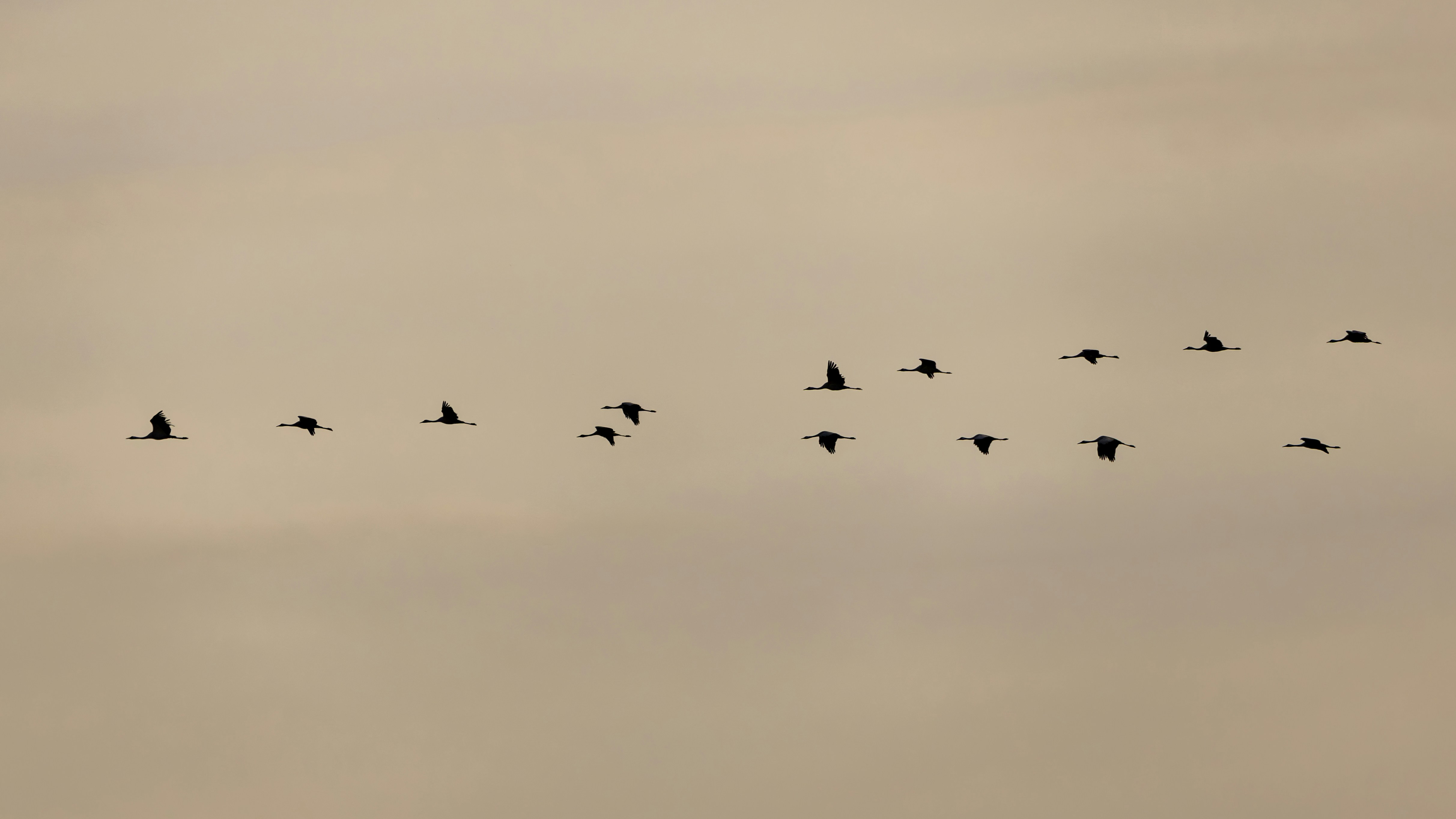 Photo by matthieur68