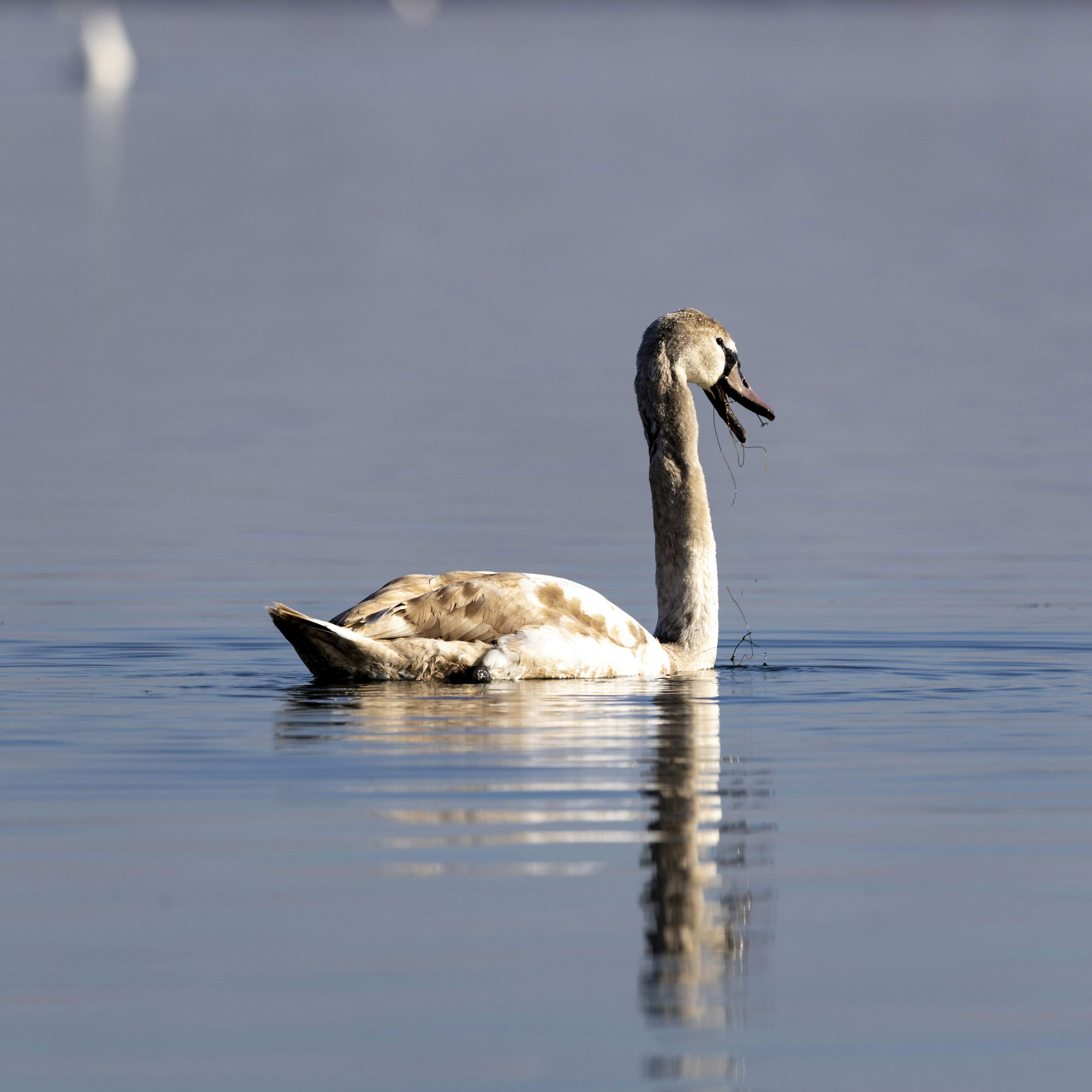 Photo by matthieur68