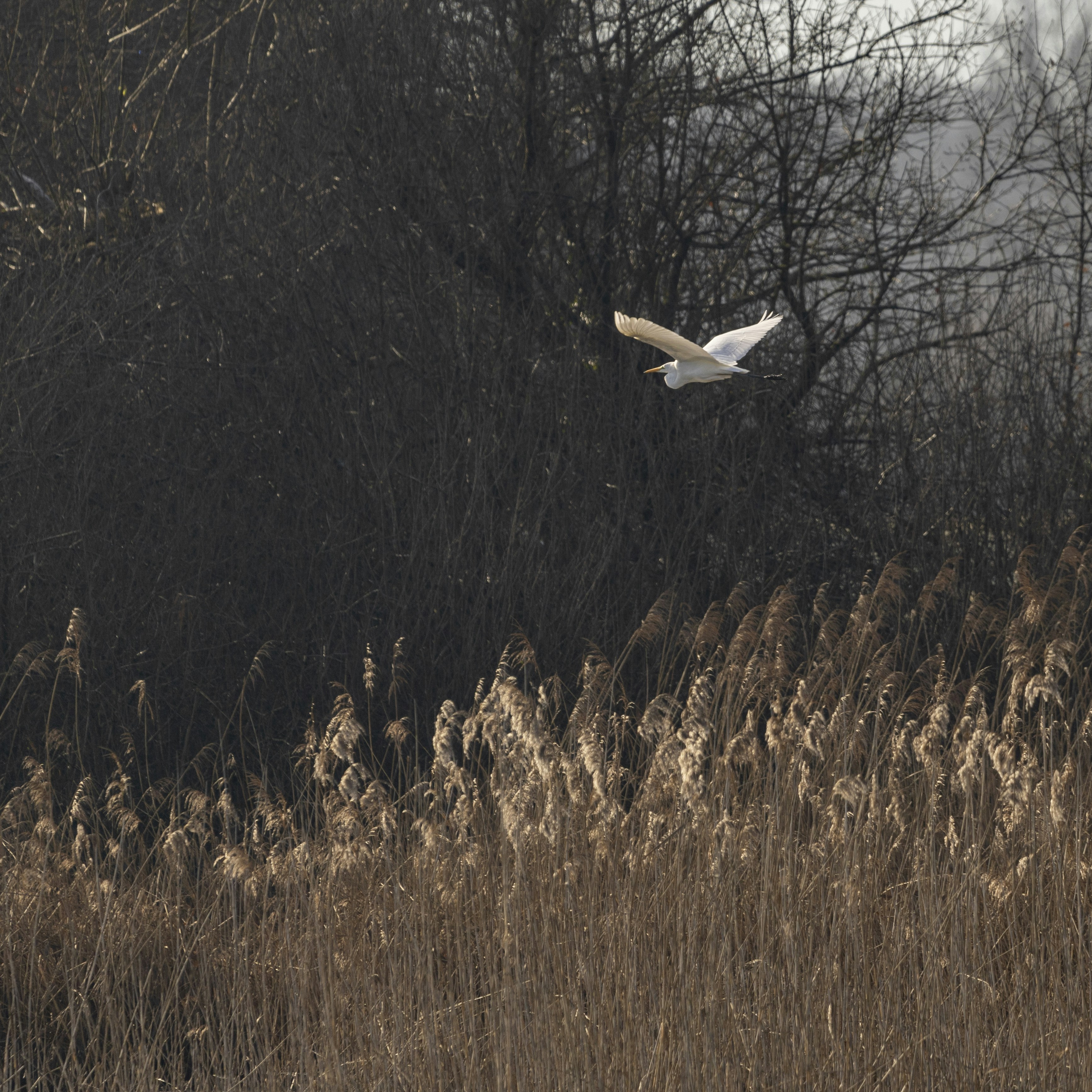 Photo by matthieur68