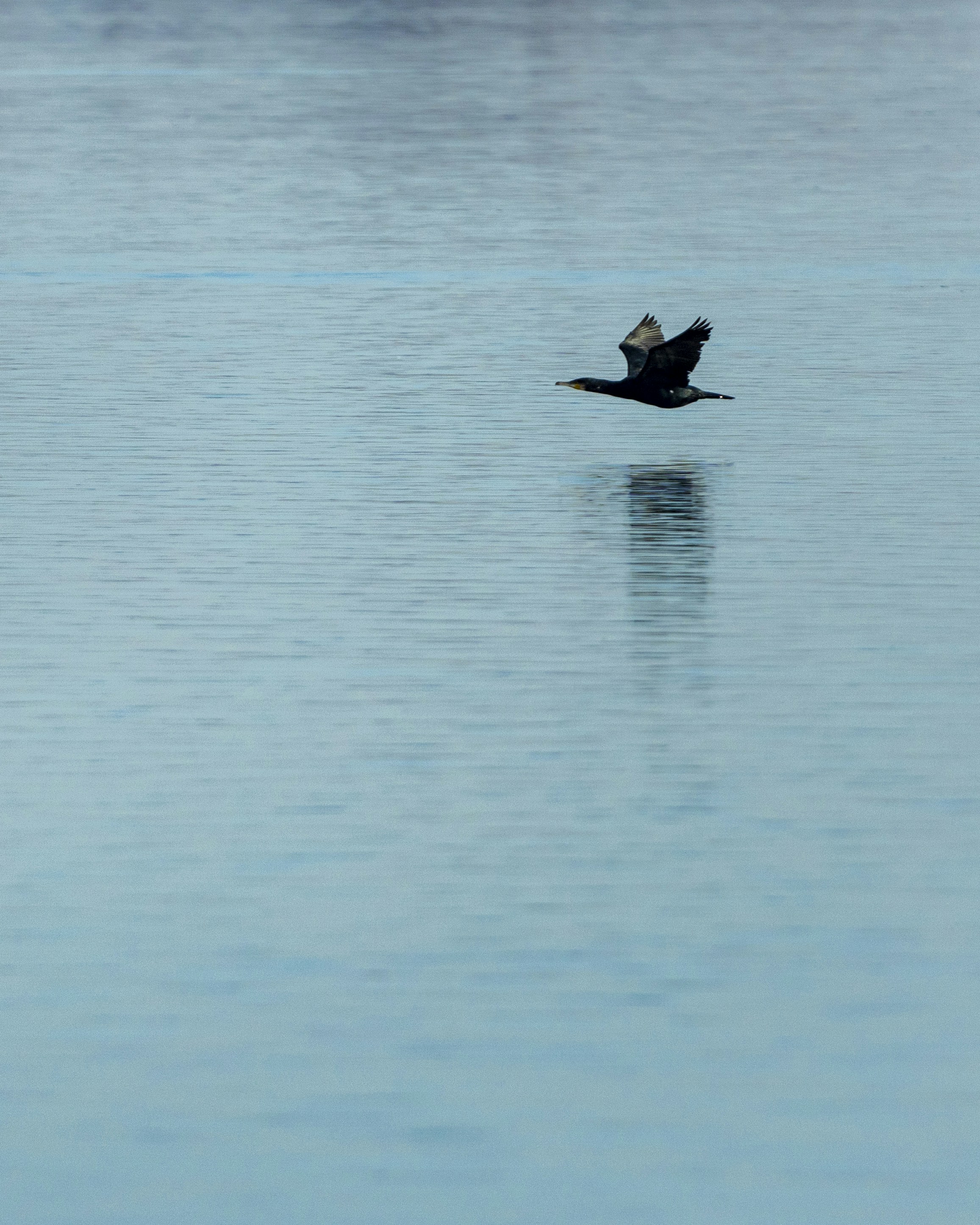 Photo by matthieur68