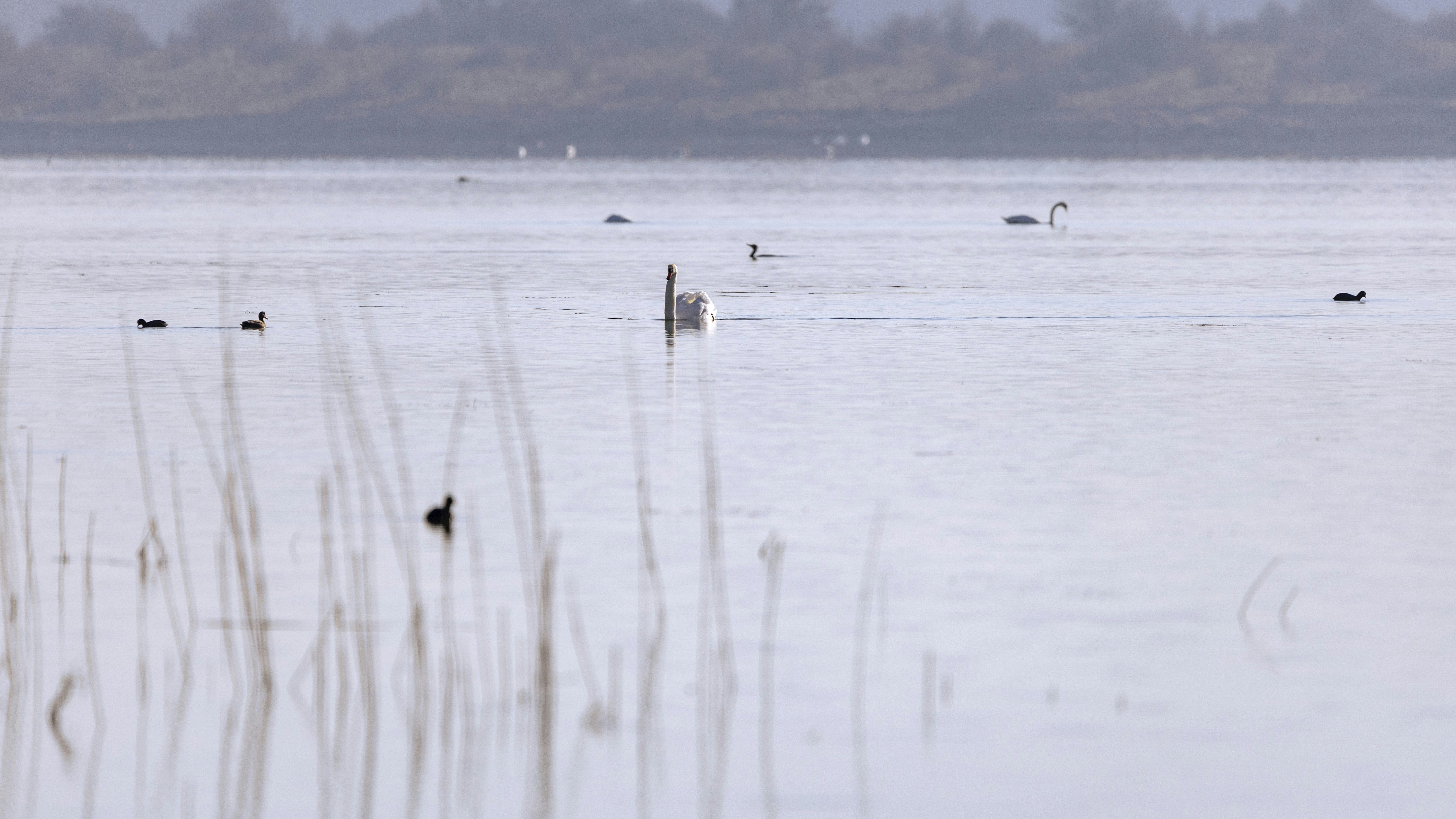 Photo by matthieur68