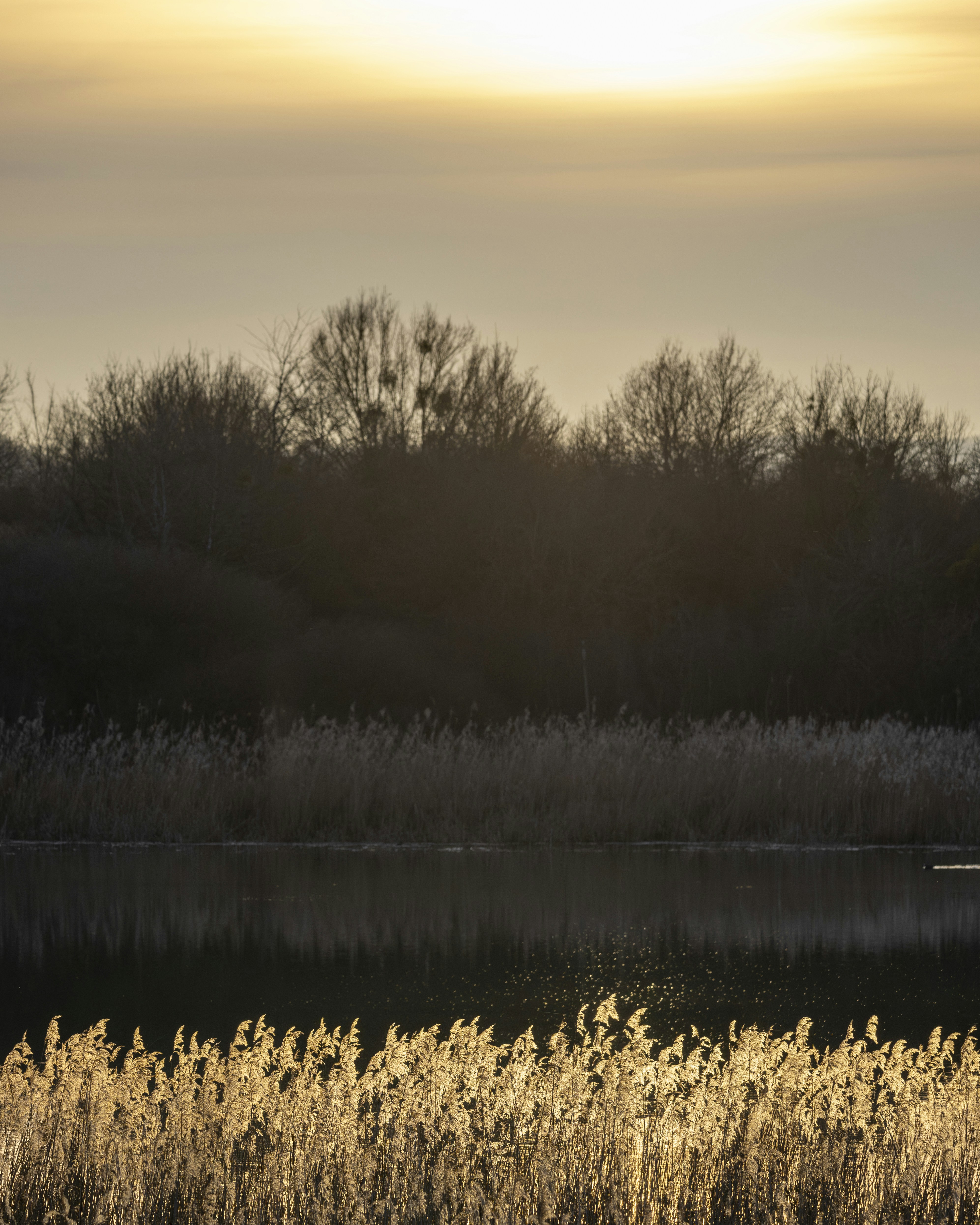 Photo by matthieur68