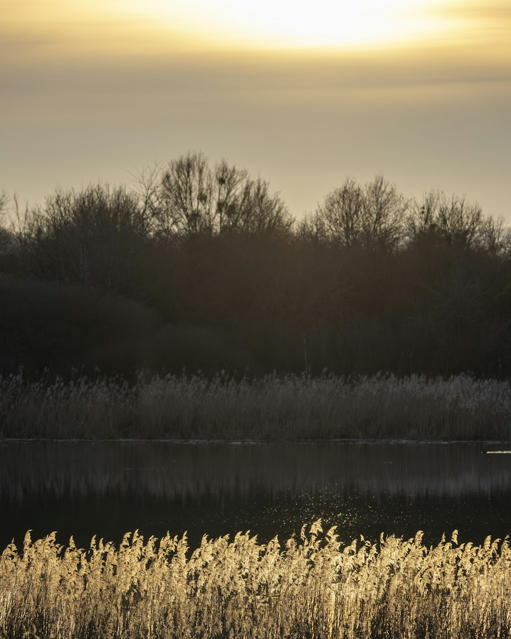 a person in a boat on a body of water