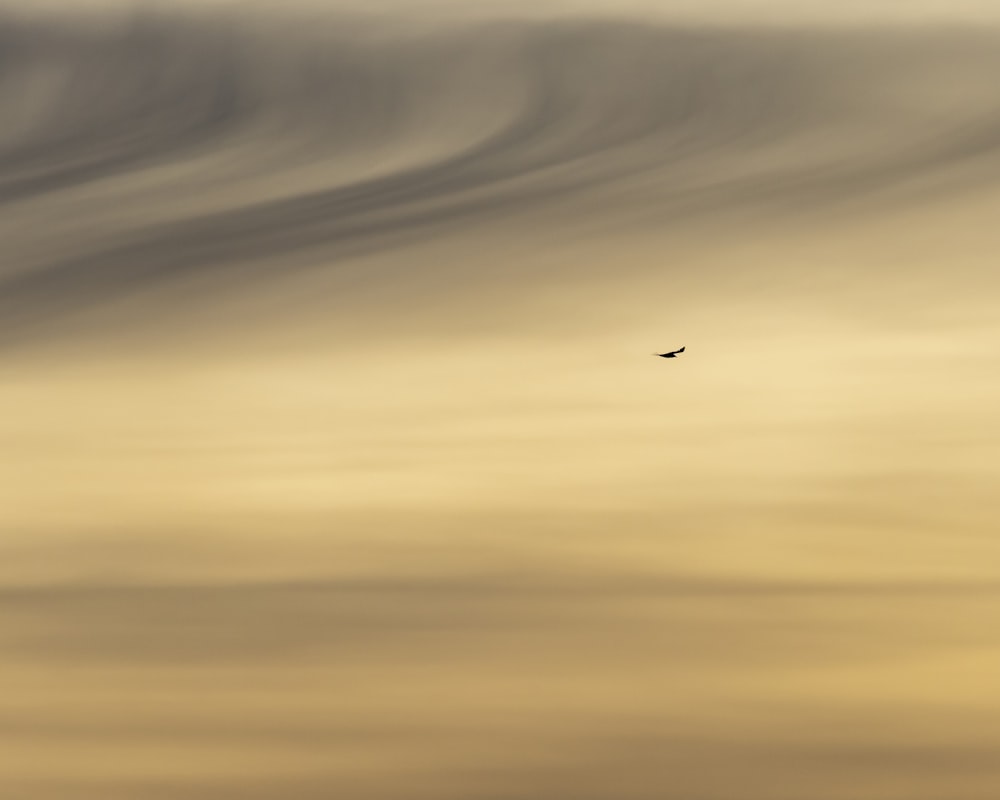 a bird flying through a cloudy sky with a plane in the distance