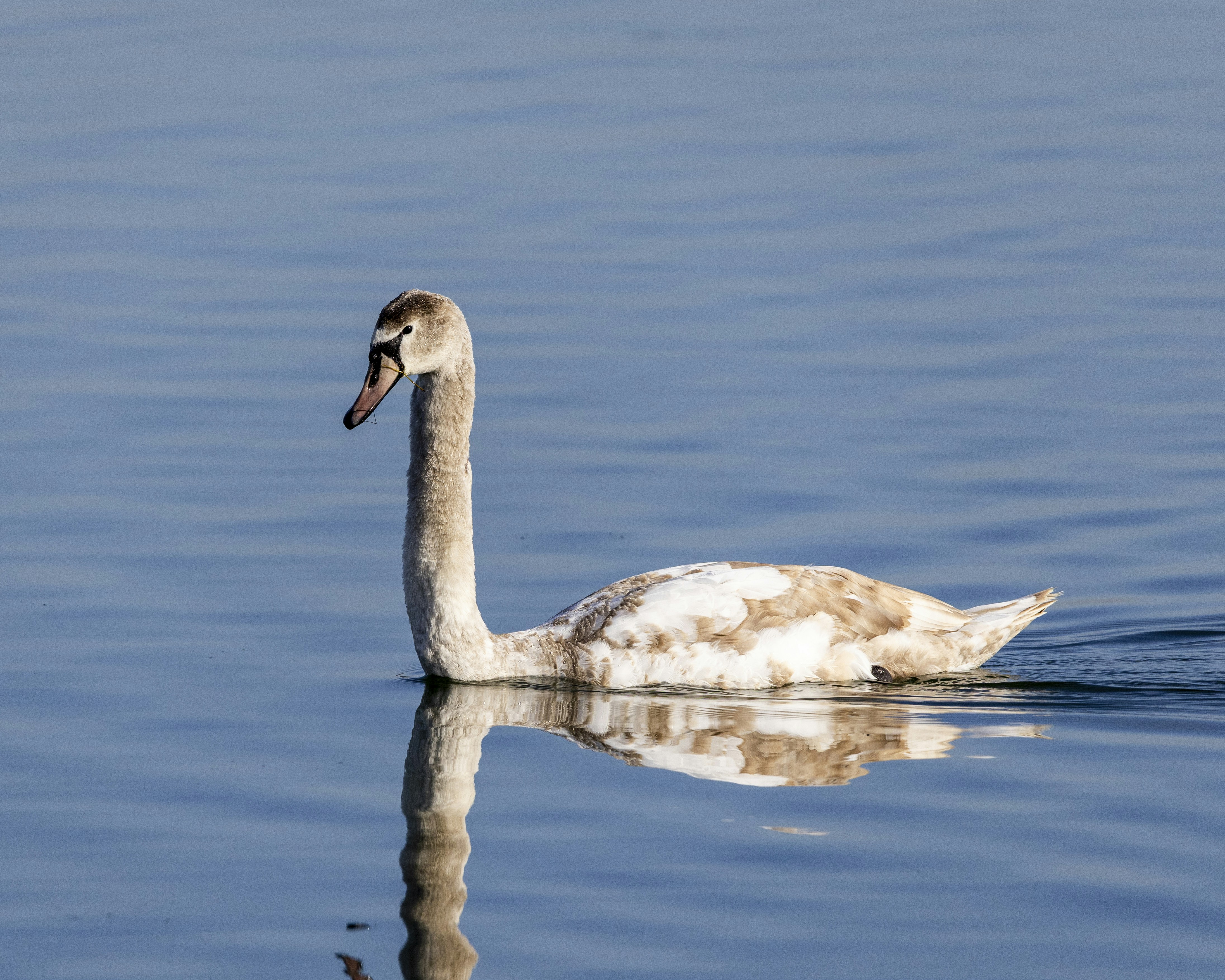 Photo by matthieur68