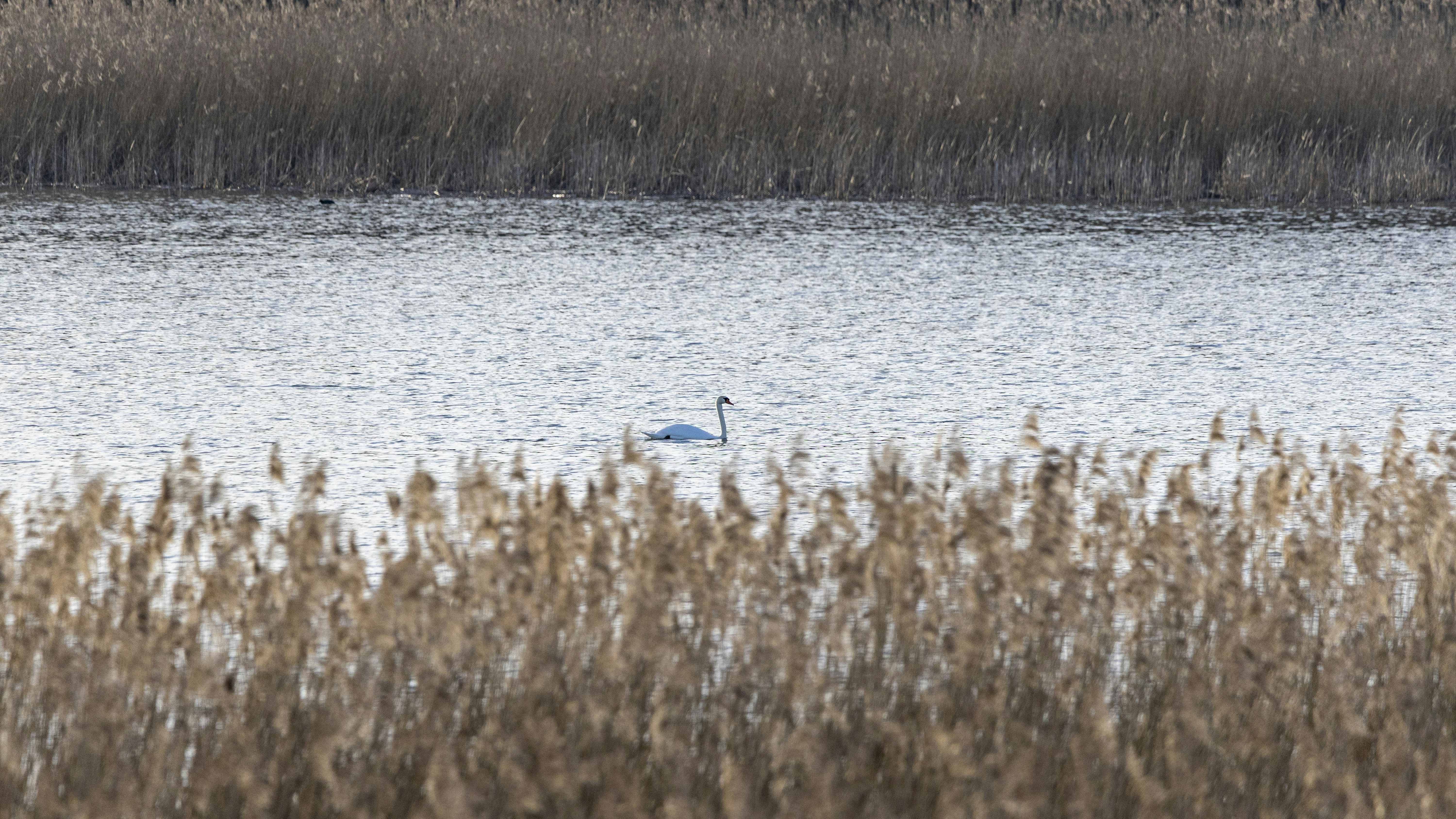 Photo by matthieur68