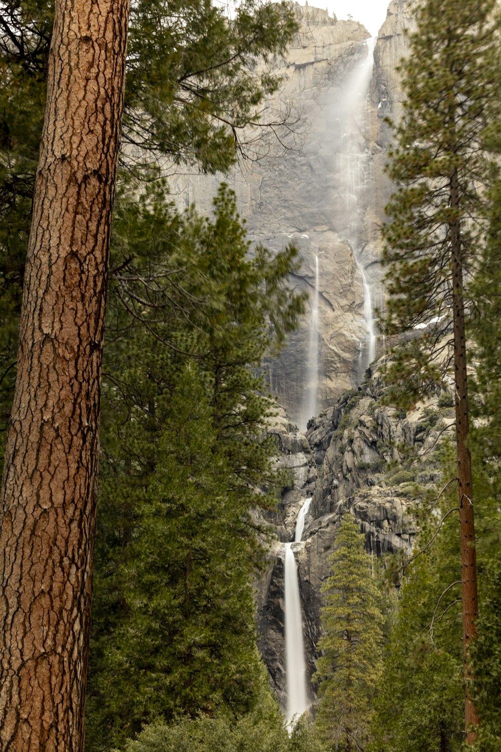 una cascada alta en medio de un bosque