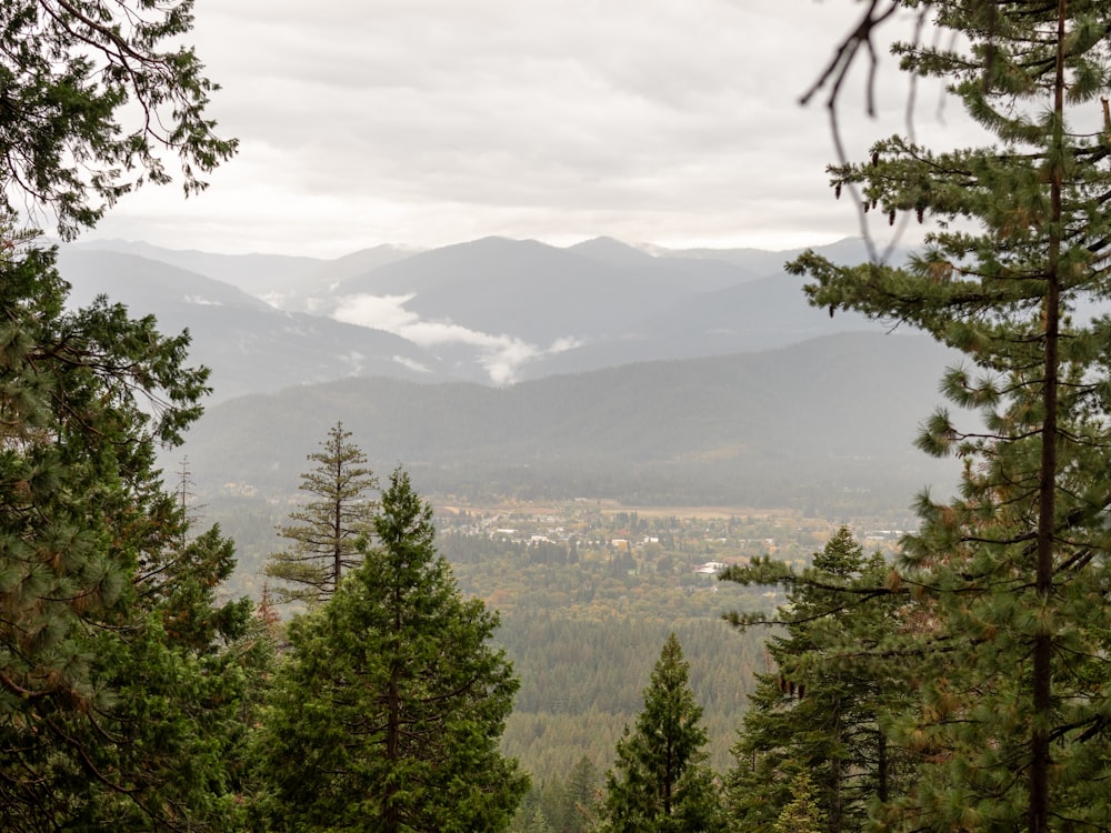 a view of the mountains from the top of a hill