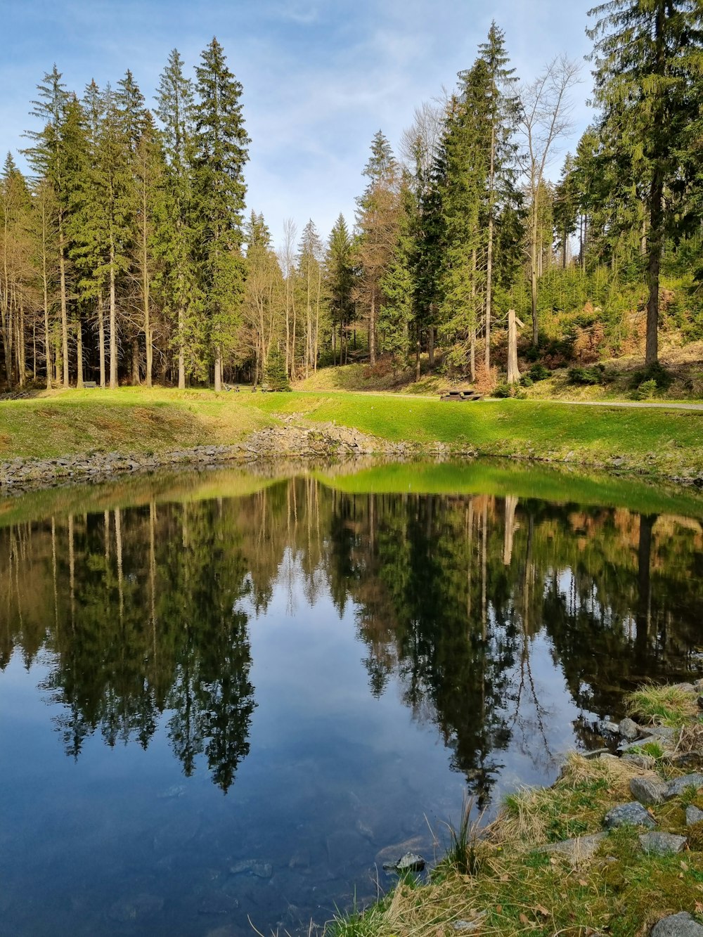 a small lake surrounded by trees and grass