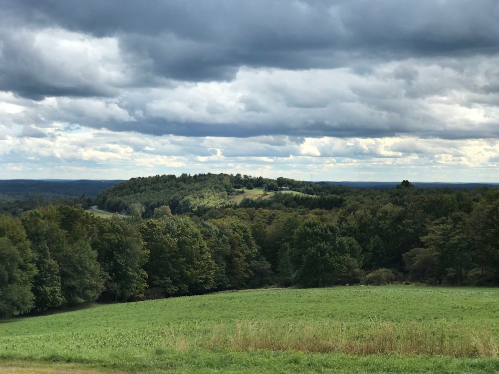 a lush green field surrounded by trees under a cloudy sky