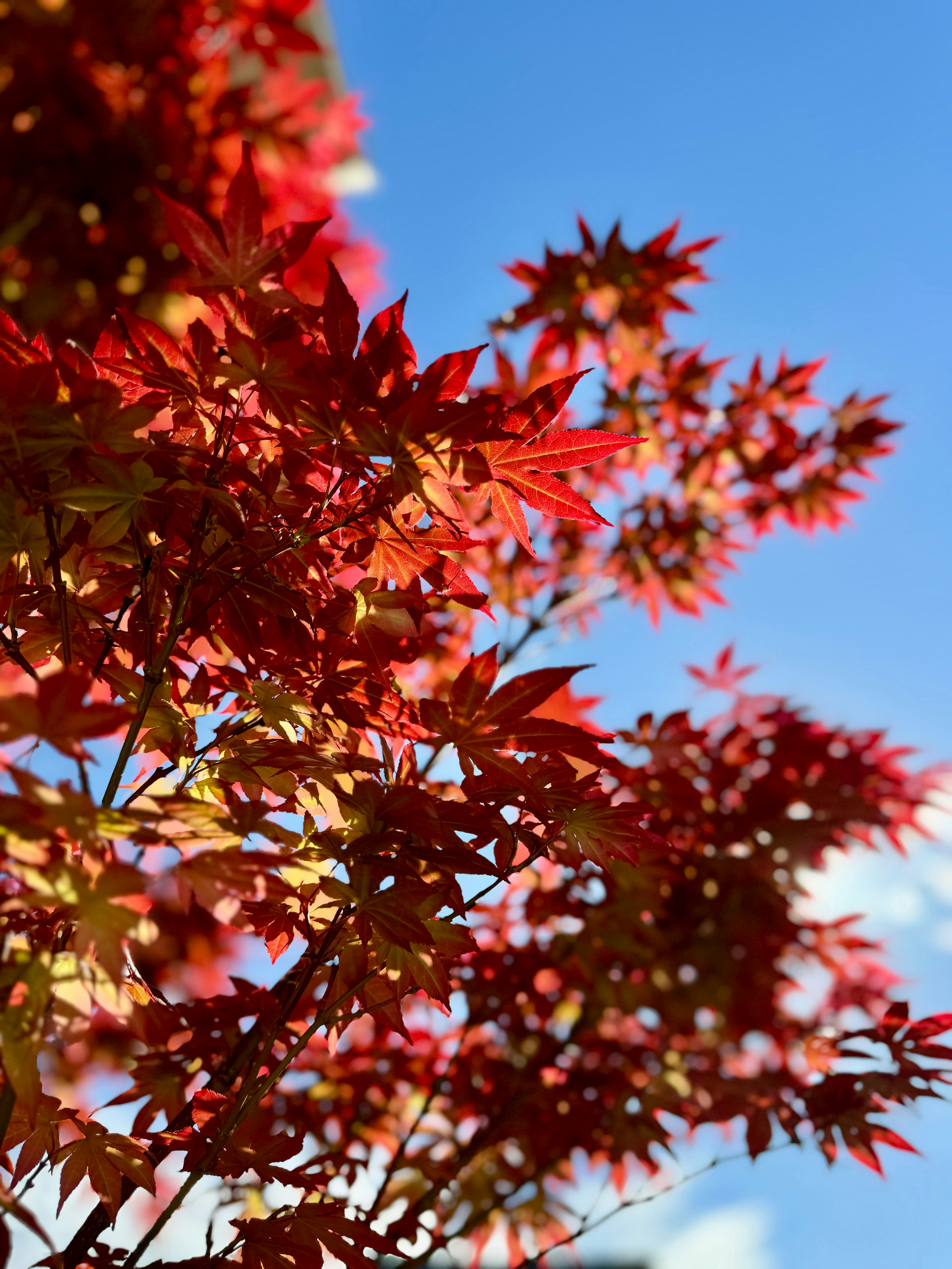 Photo by laelsotomayor