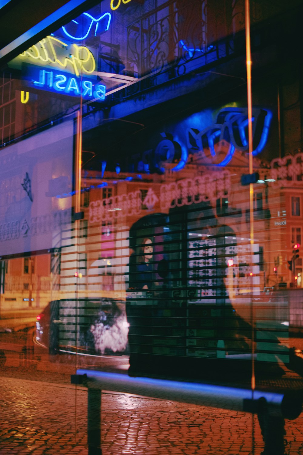 a reflection of a dog in a window