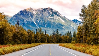 a road with a mountain in the background