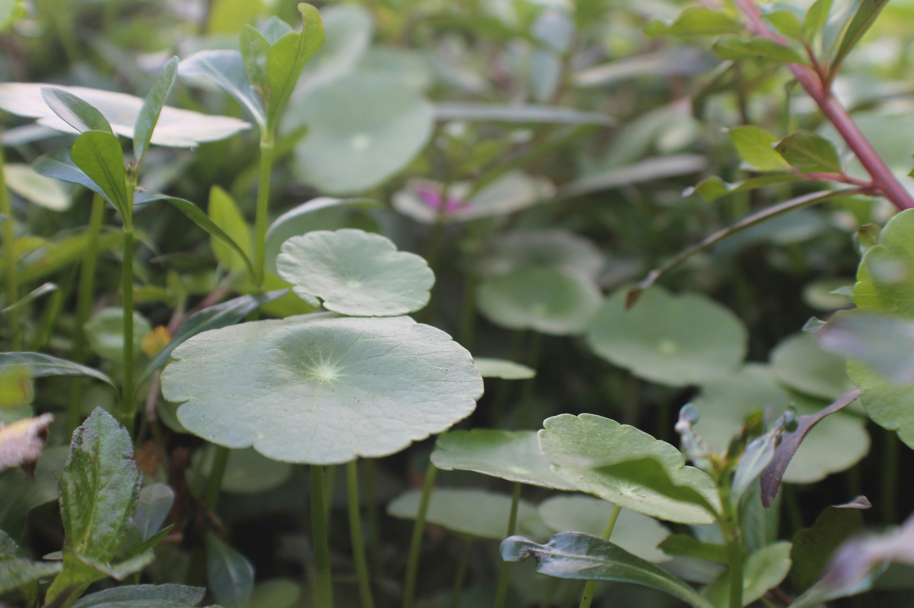 Photo by _definitelykate_