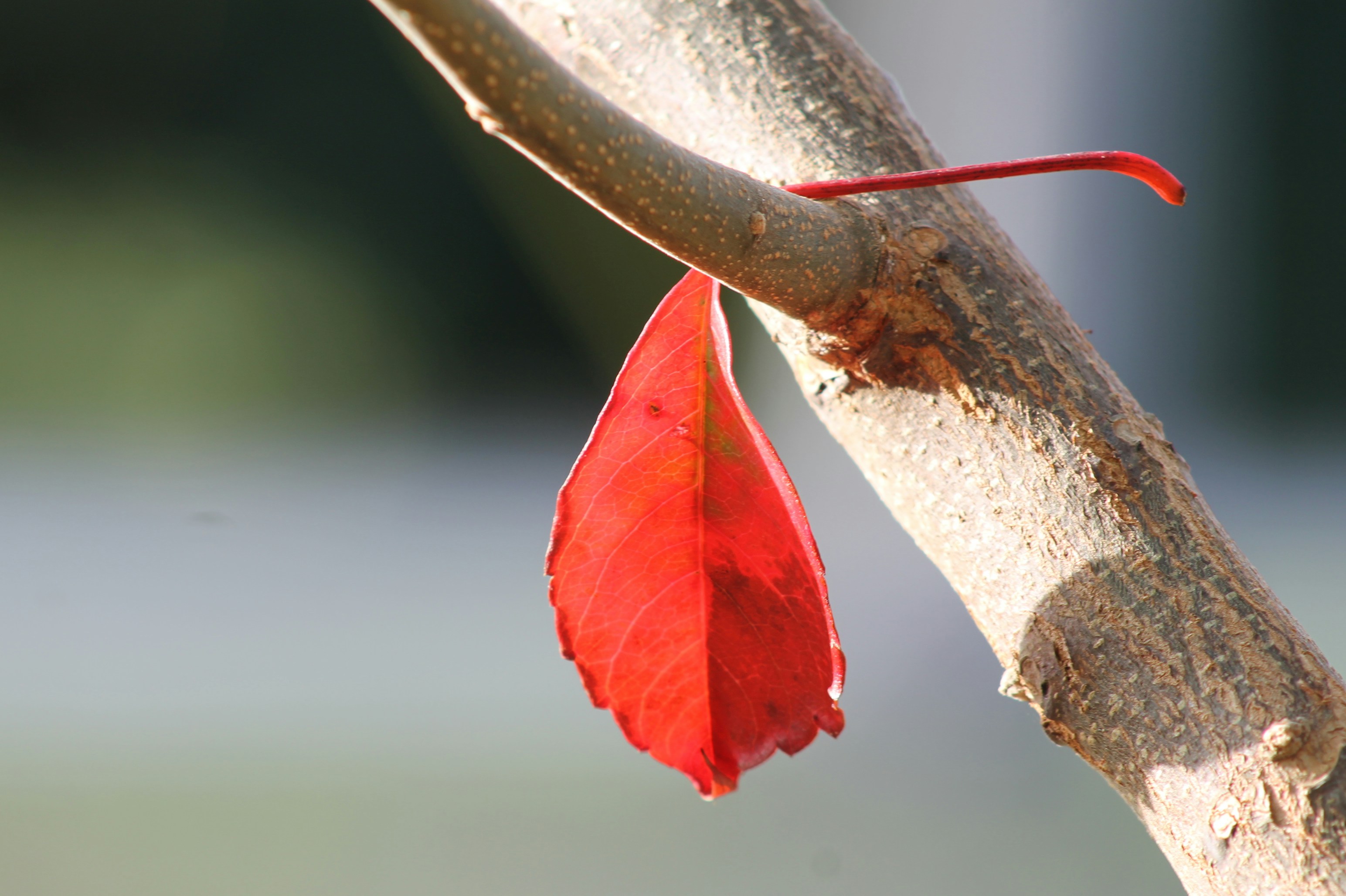 Photo by _definitelykate_