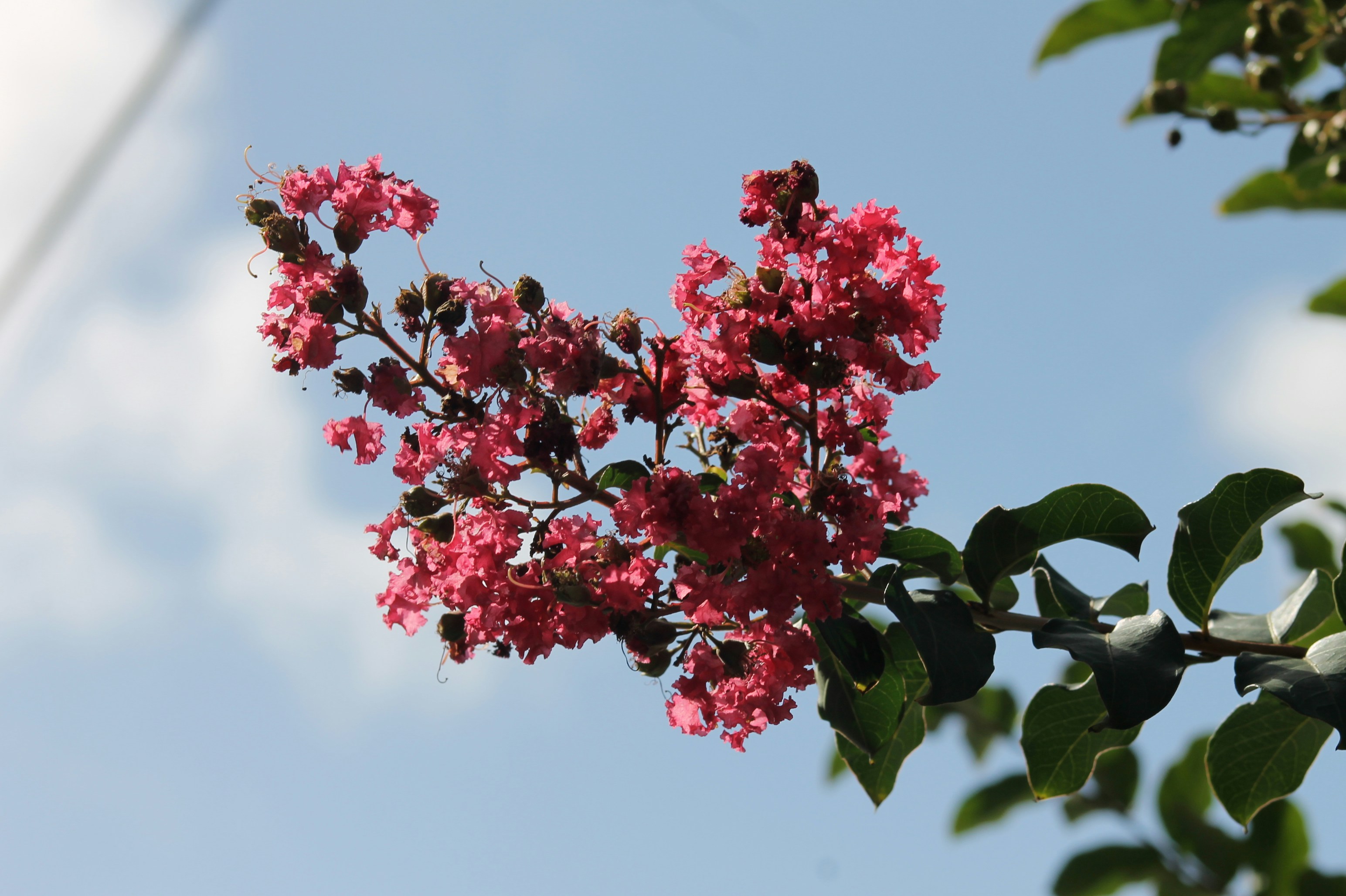 Photo by _definitelykate_