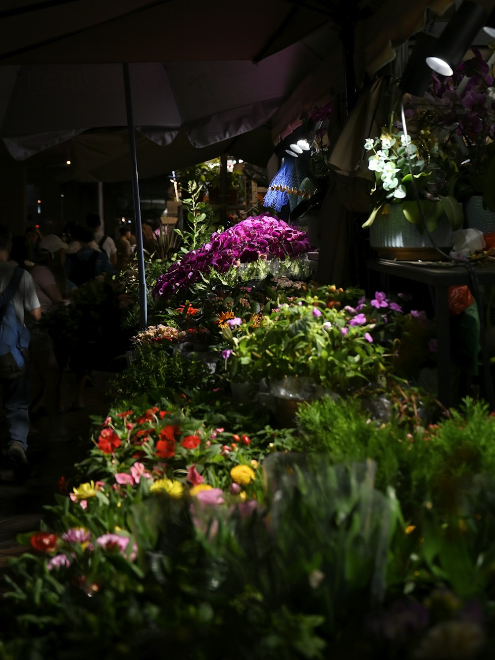 a group of people standing around a bunch of flowers