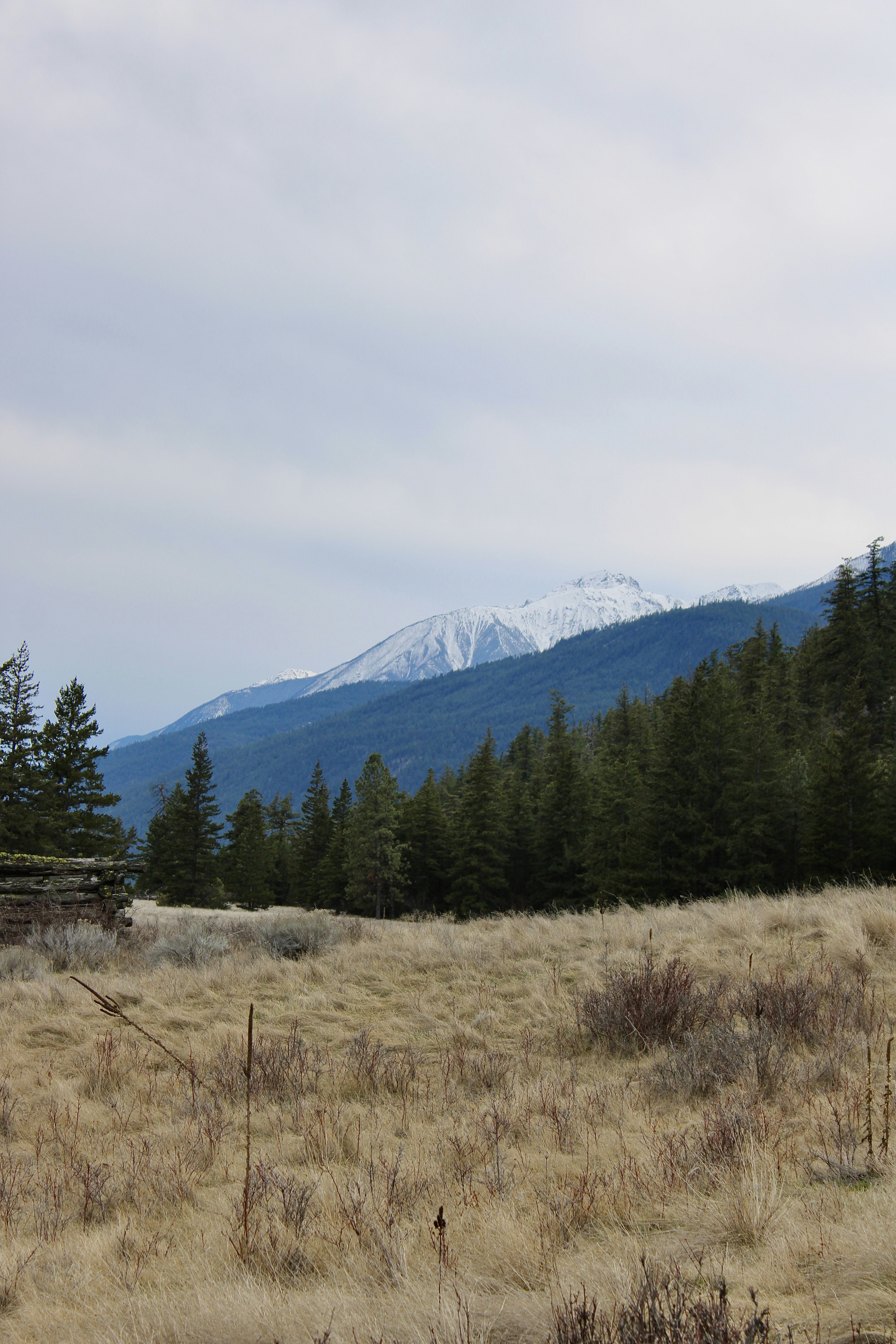 Photo by philipp_h15