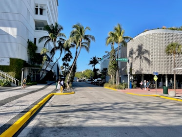 a city street with palm trees and a building