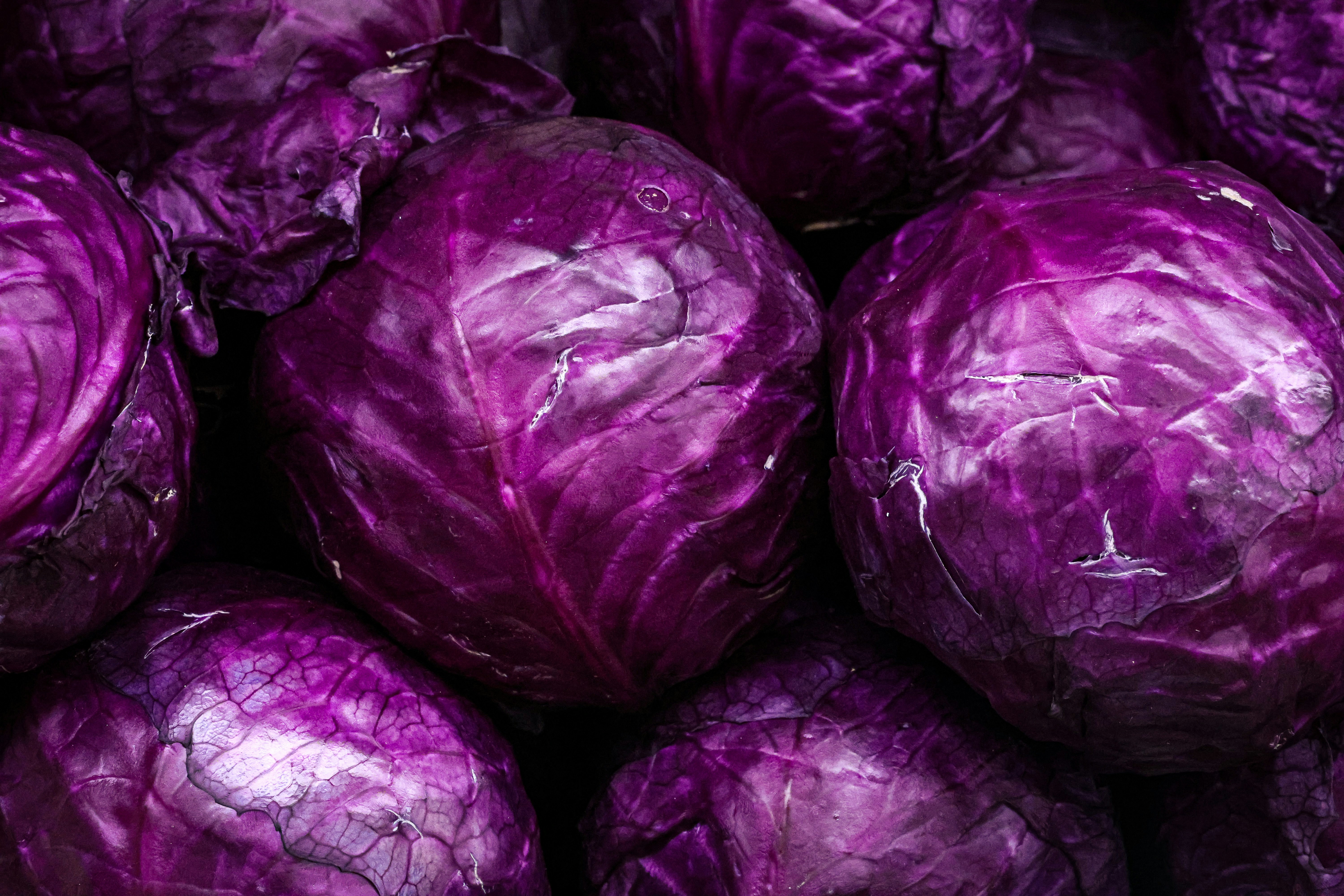 a pile of purple cabbage sitting next to each other