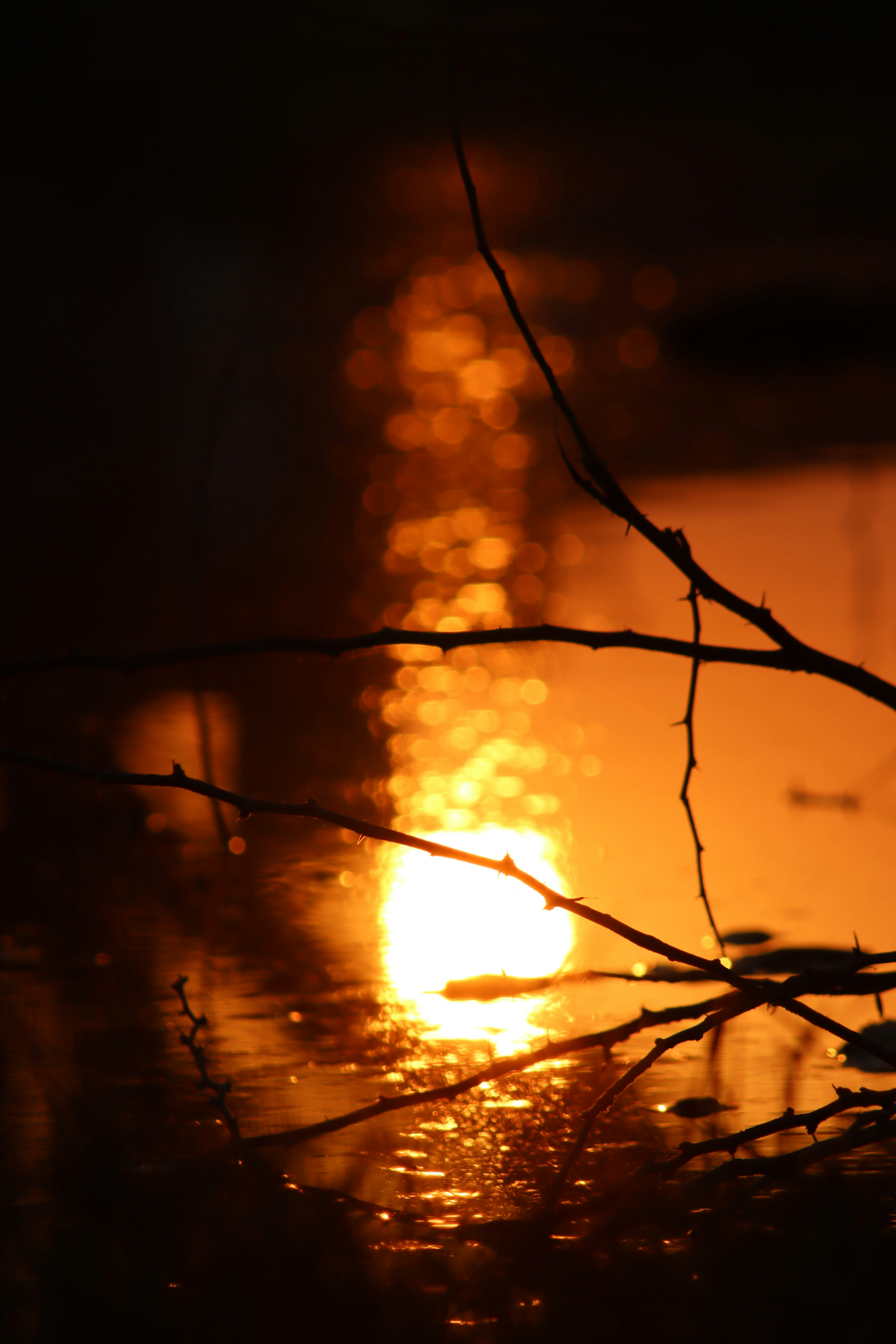 Photo by drphotographer152