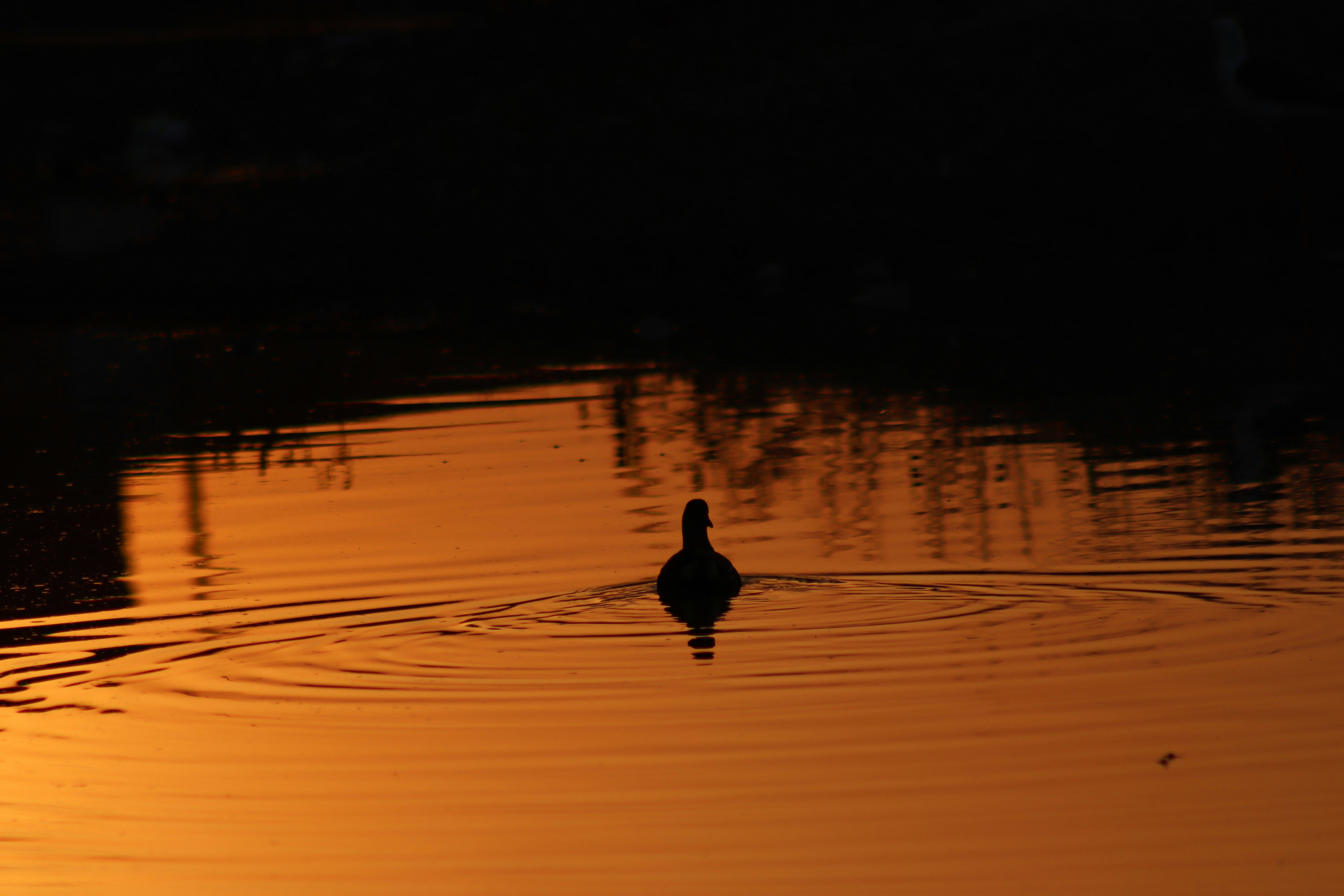 Photo by drphotographer152