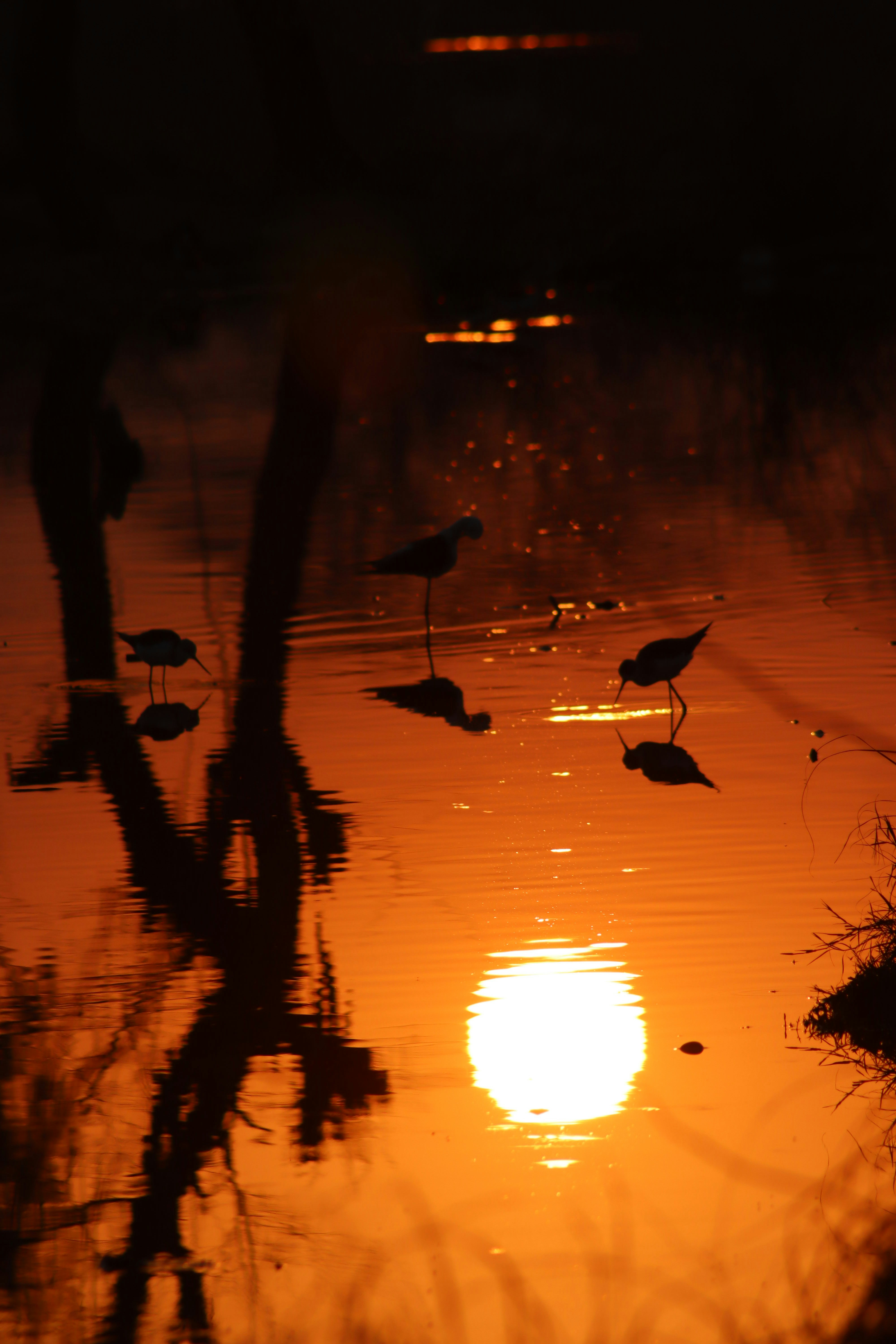 Photo by drphotographer152