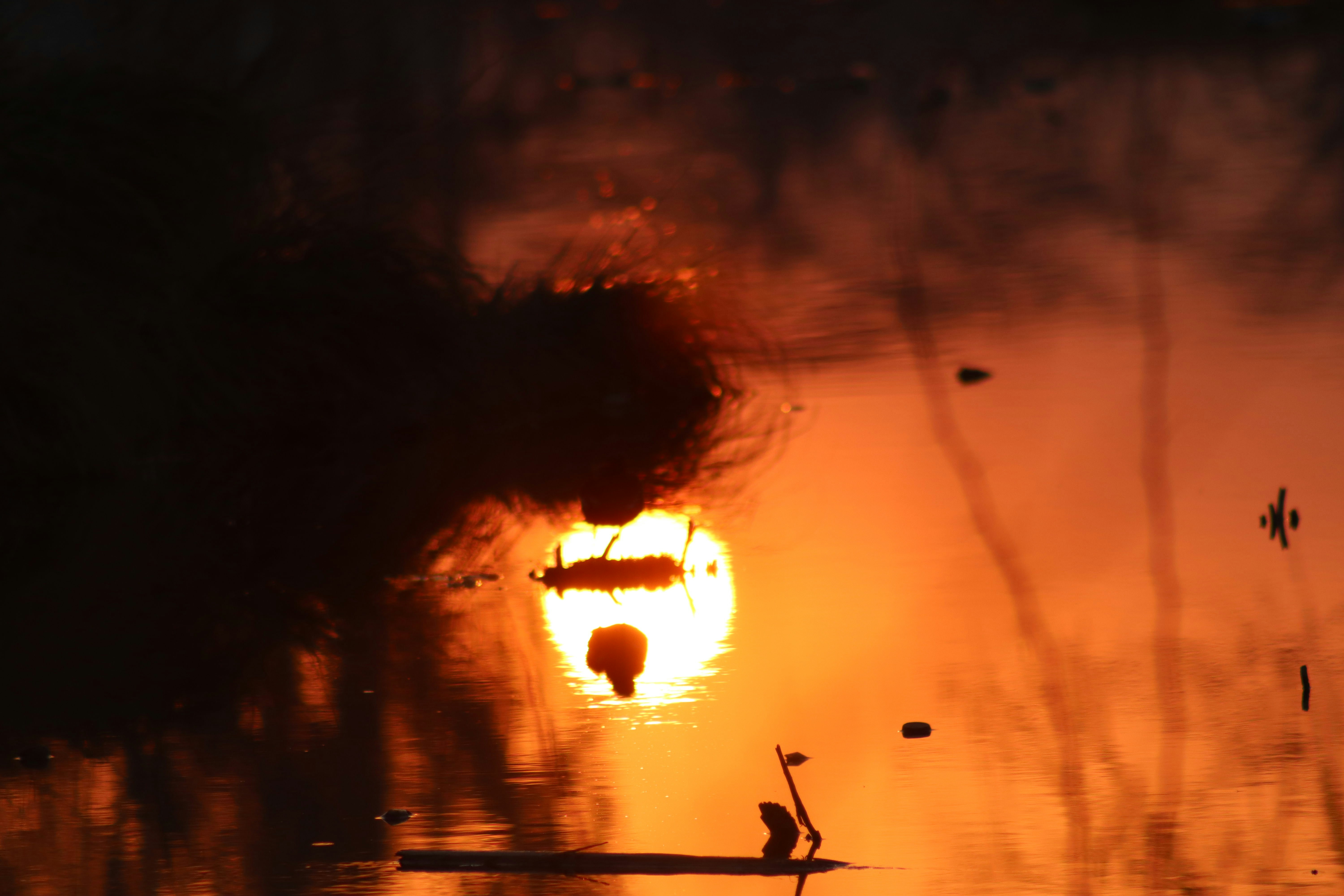 Photo by drphotographer152