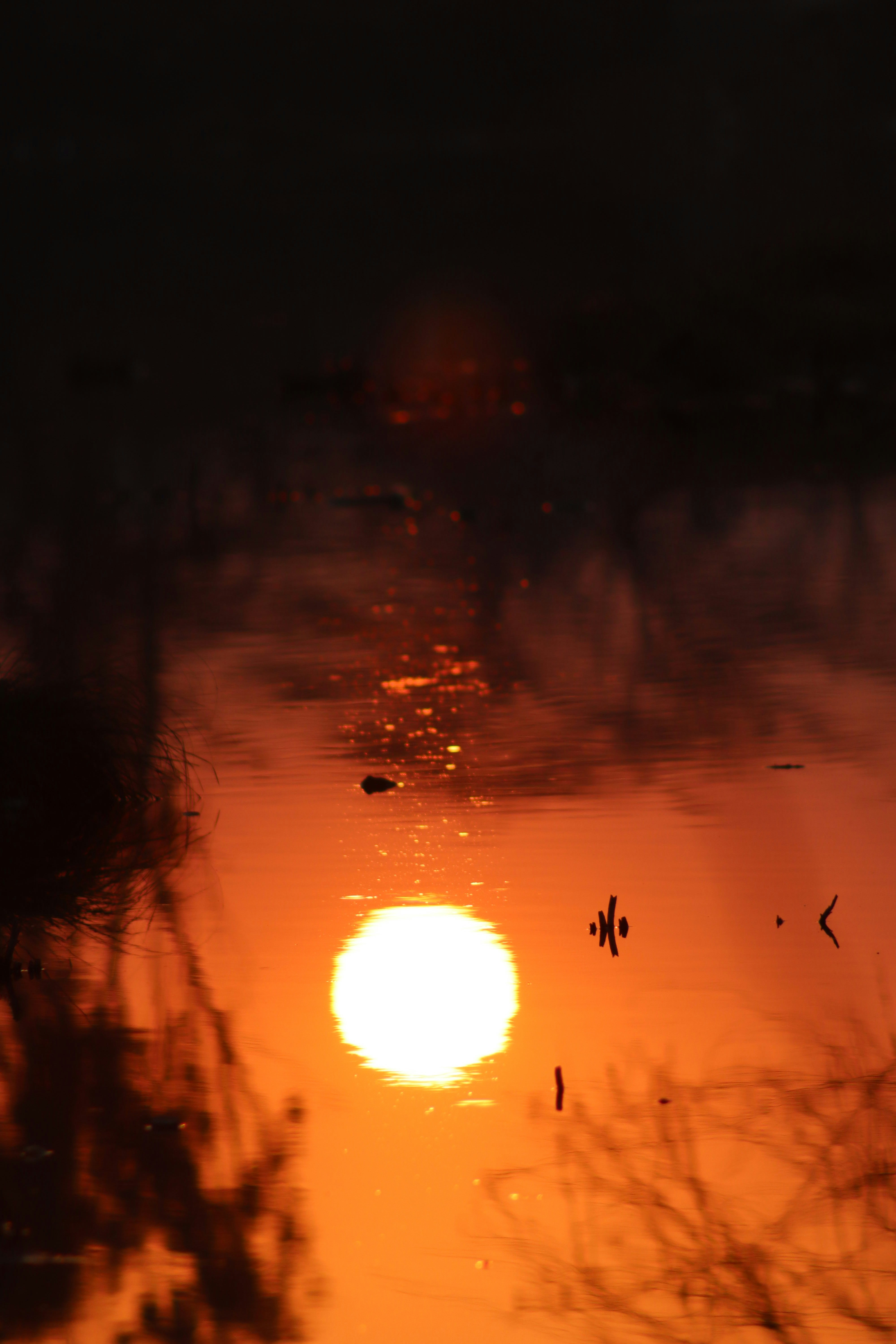 Photo by drphotographer152