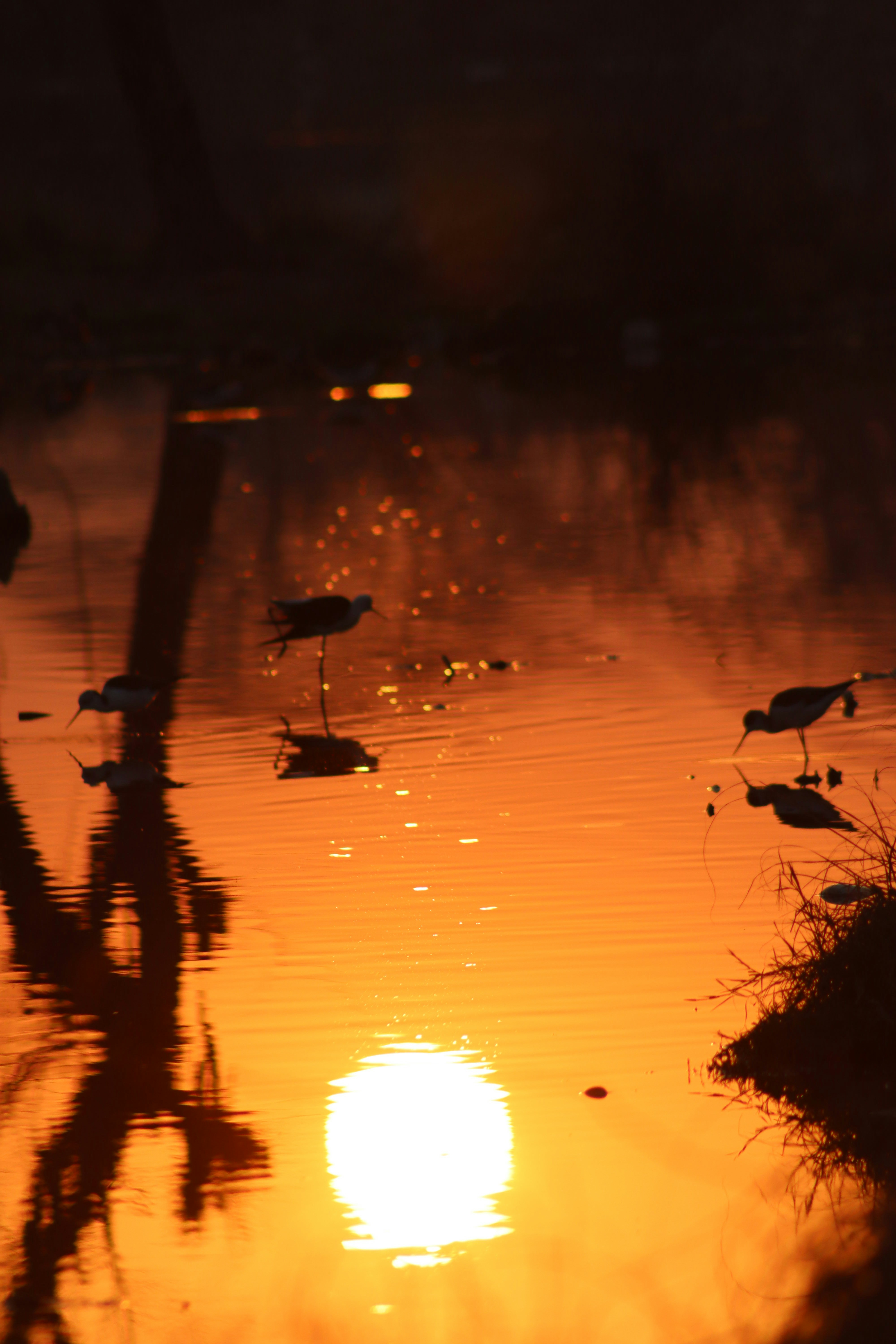 Photo by drphotographer152