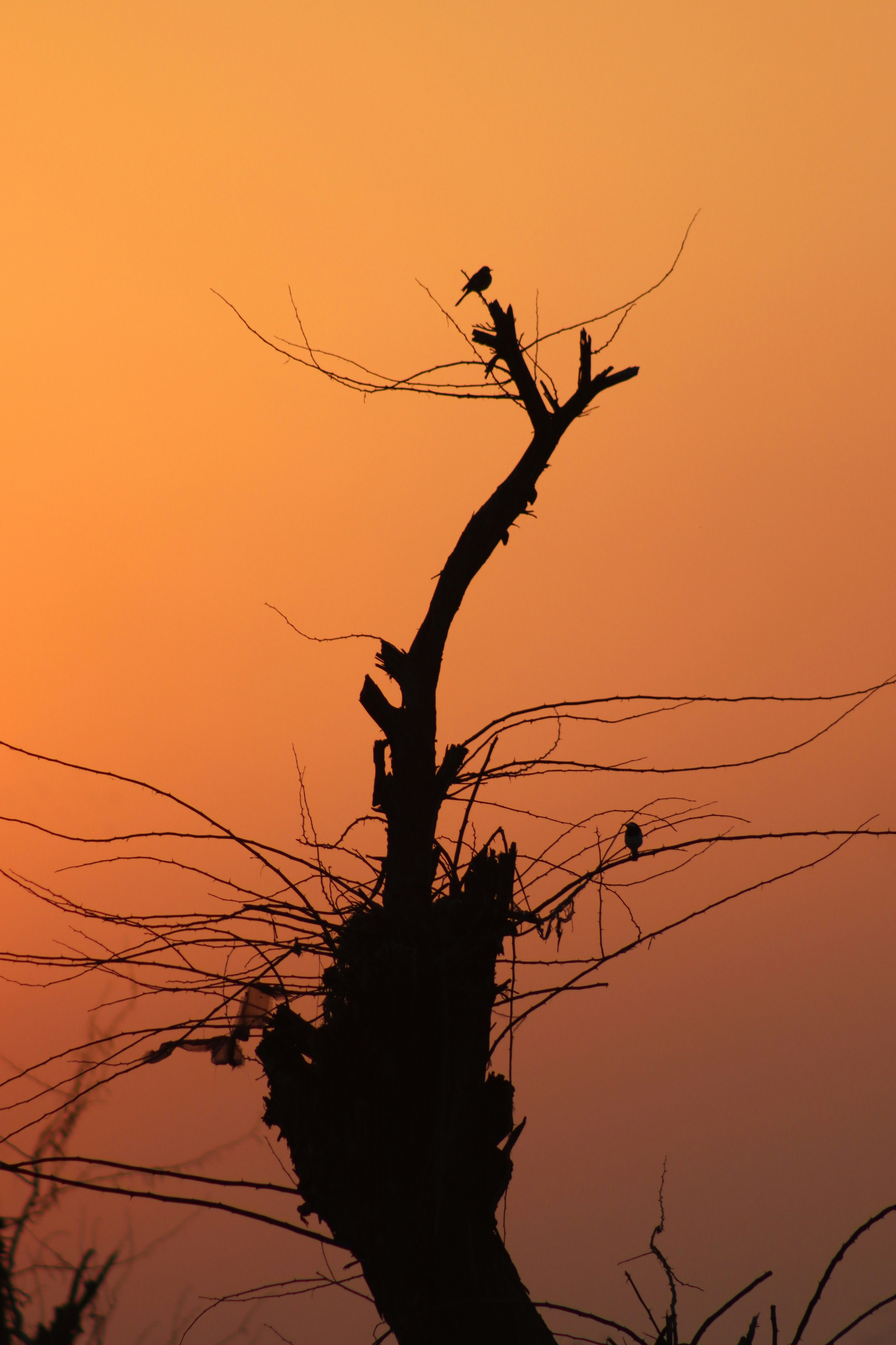 Photo by drphotographer152