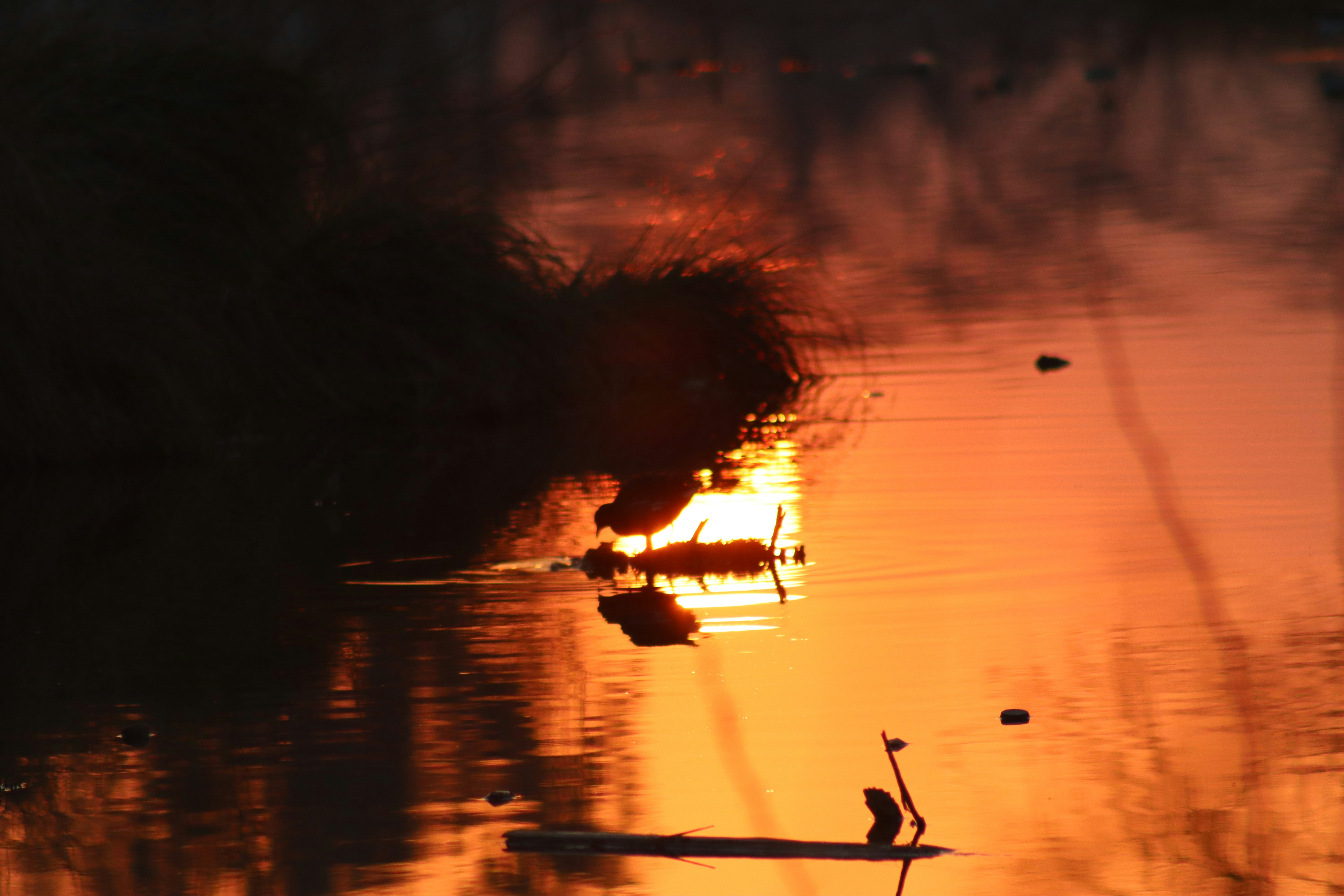 Photo by drphotographer152