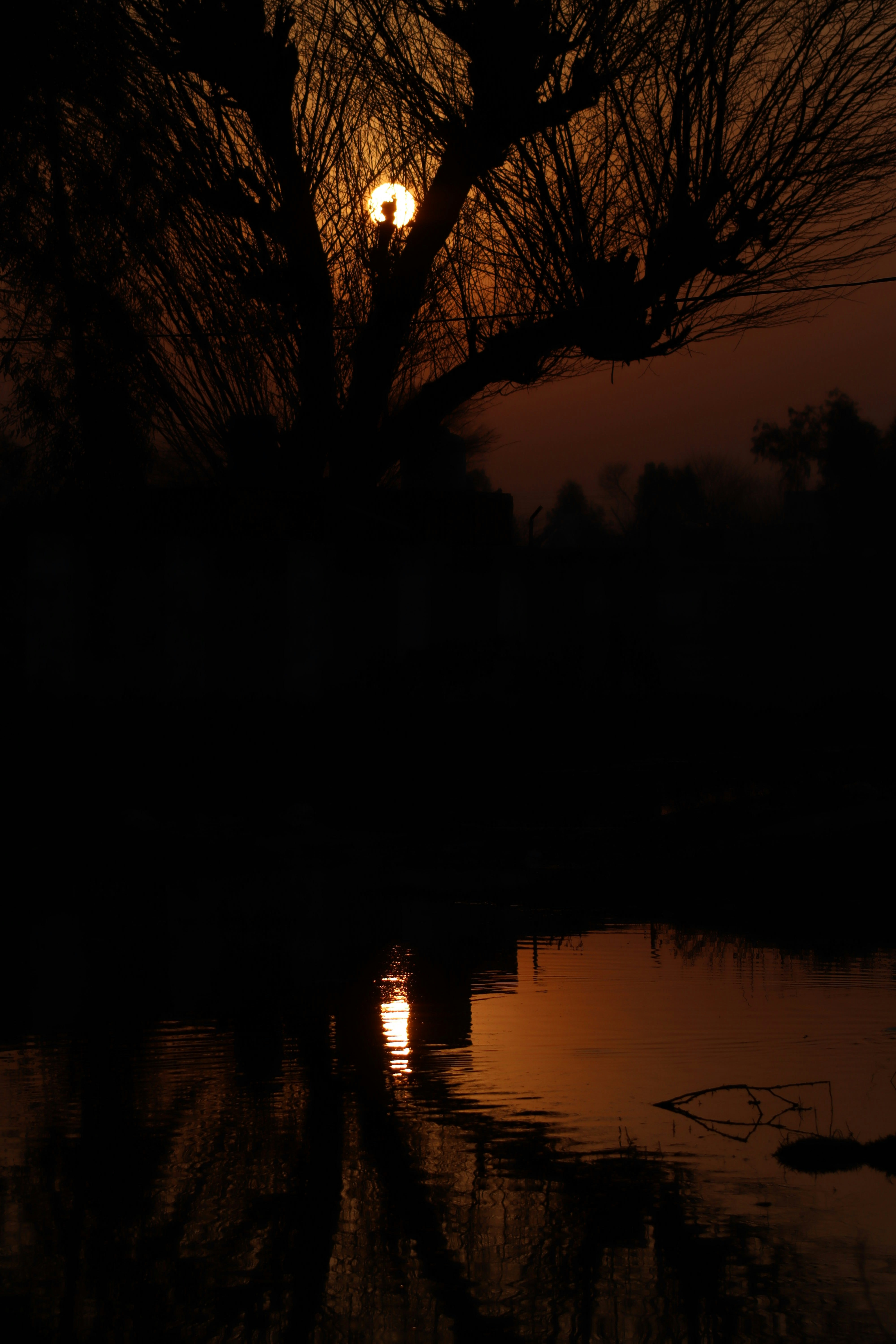 Photo by drphotographer152