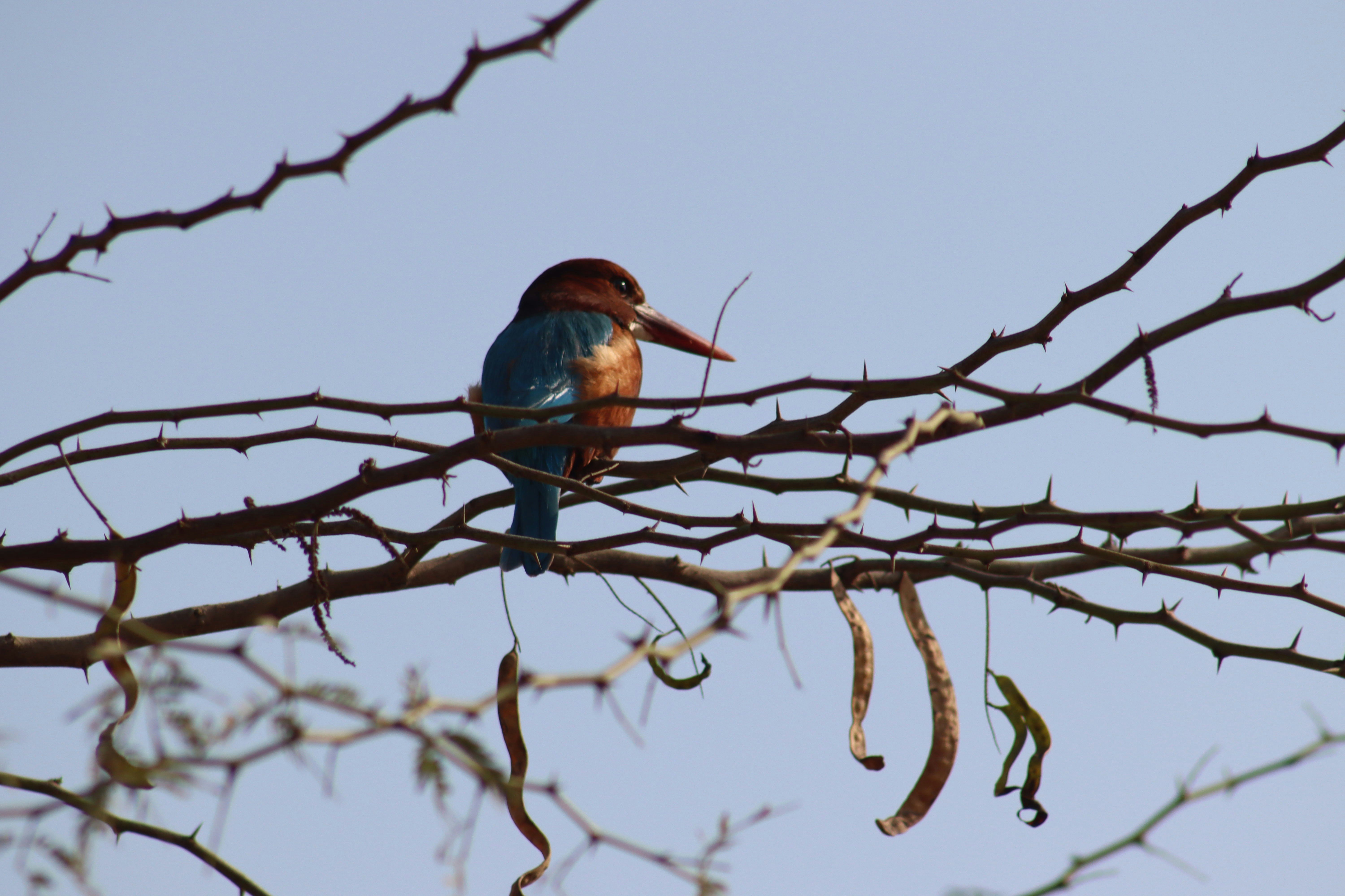 Photo by drphotographer152