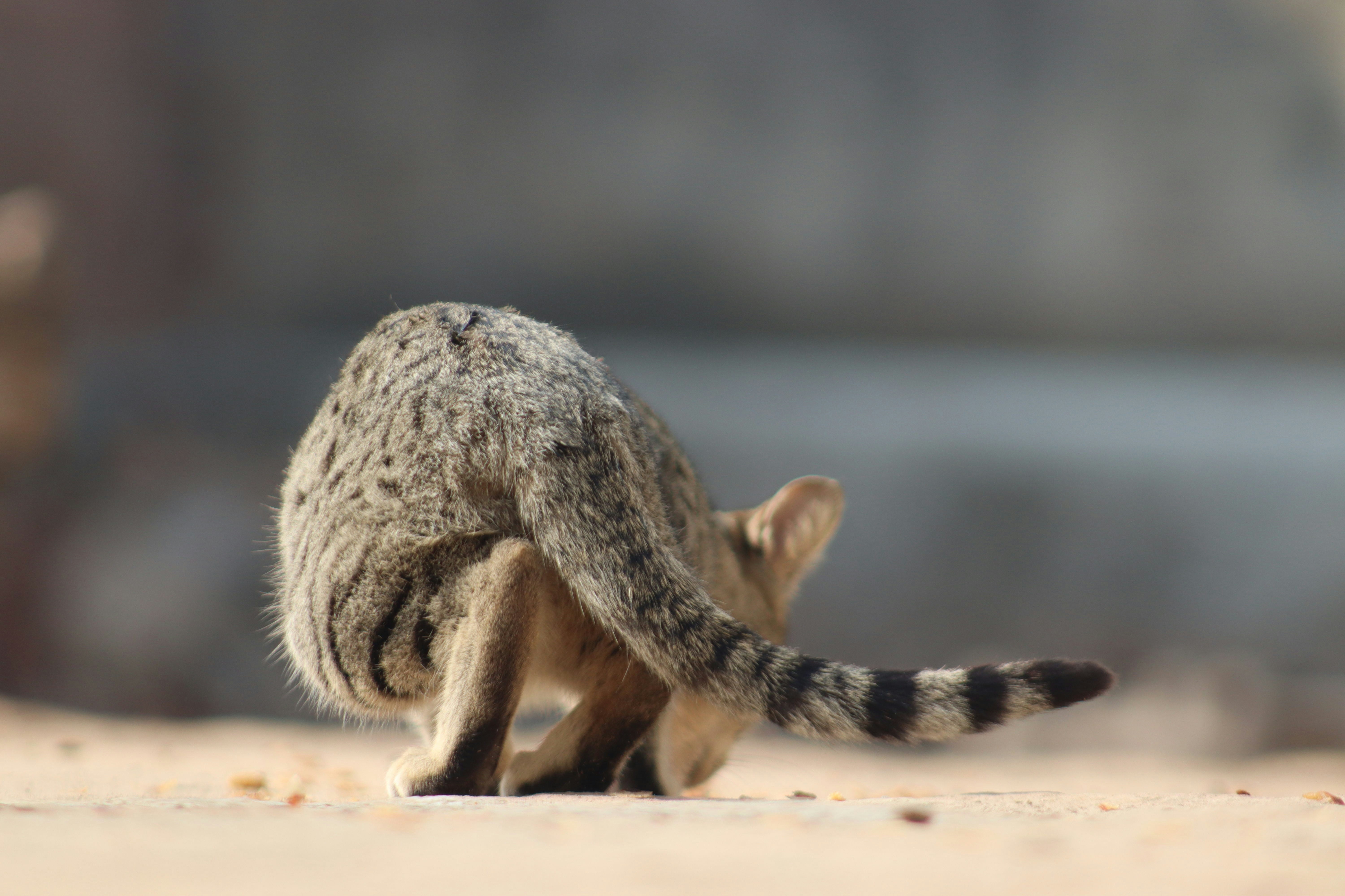 Photo by drphotographer152