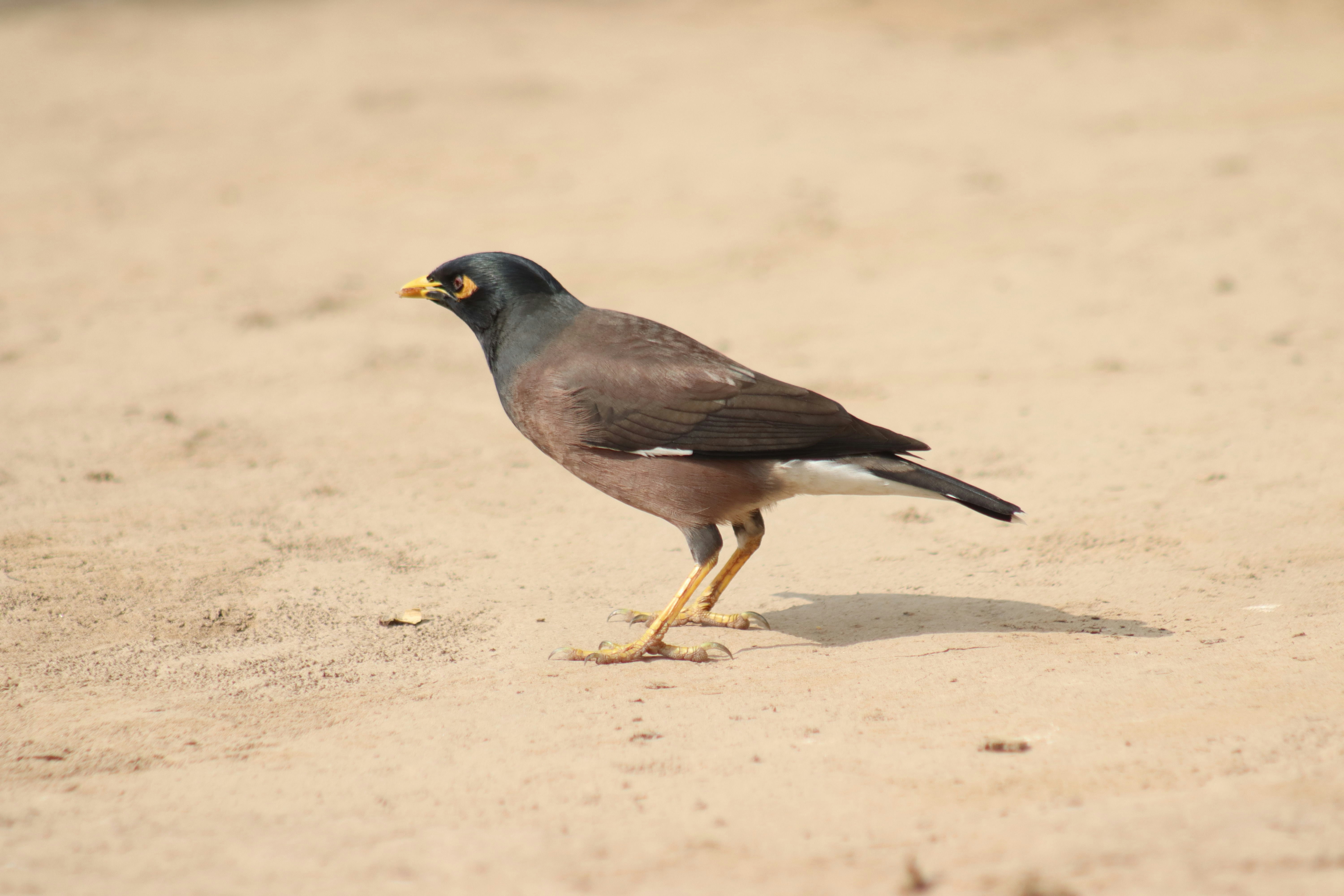 Photo by drphotographer152