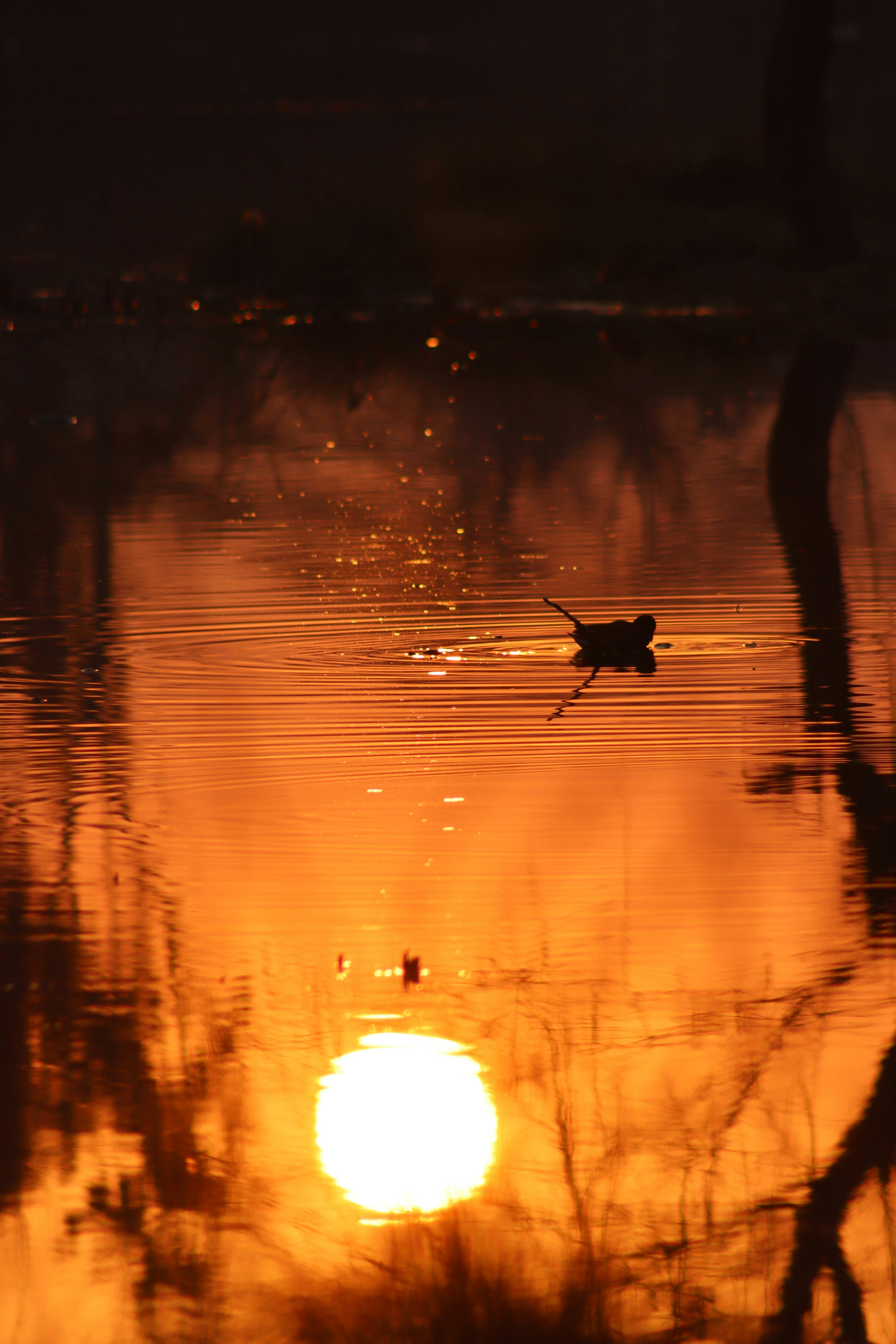 Photo by drphotographer152