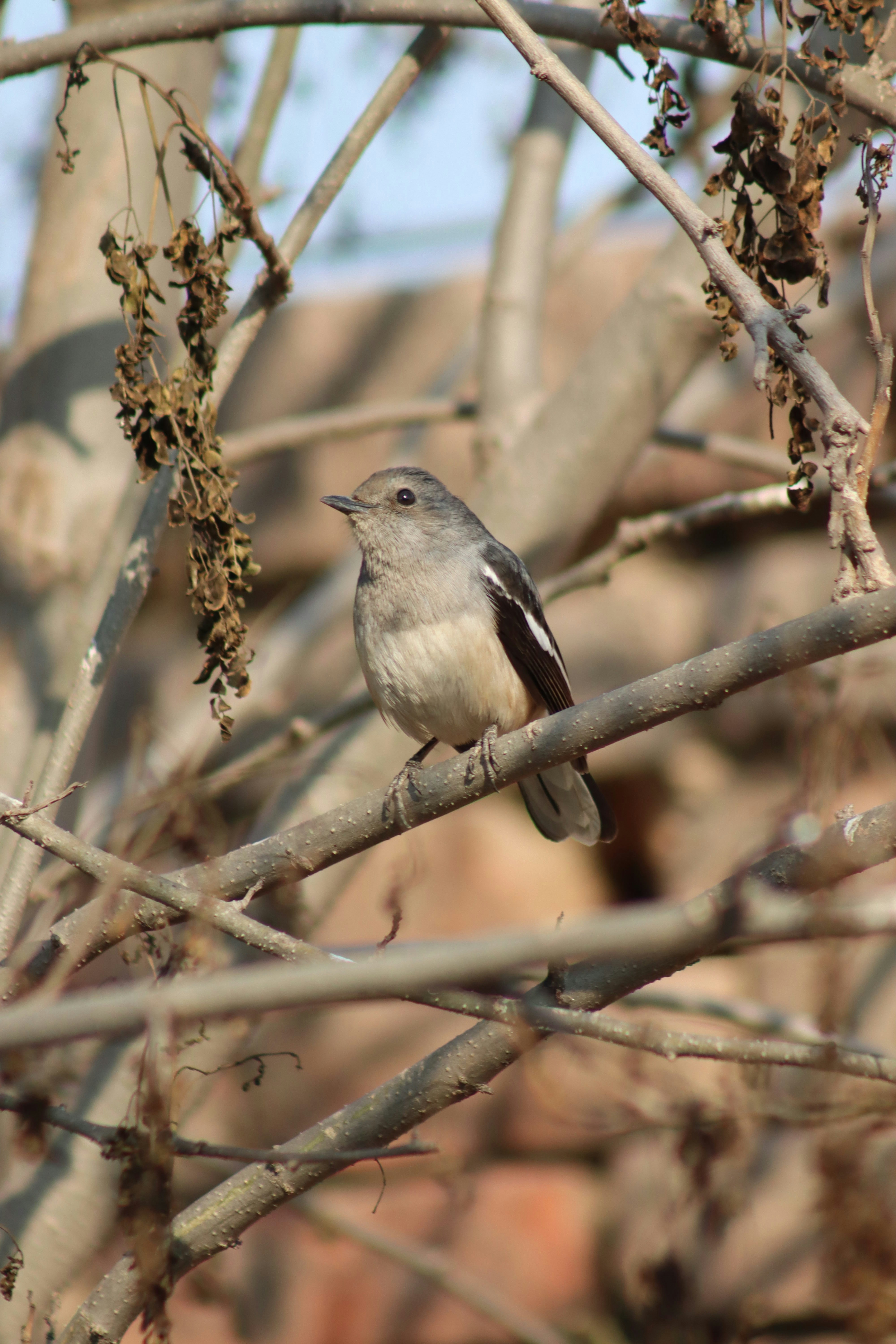 Photo by drphotographer152