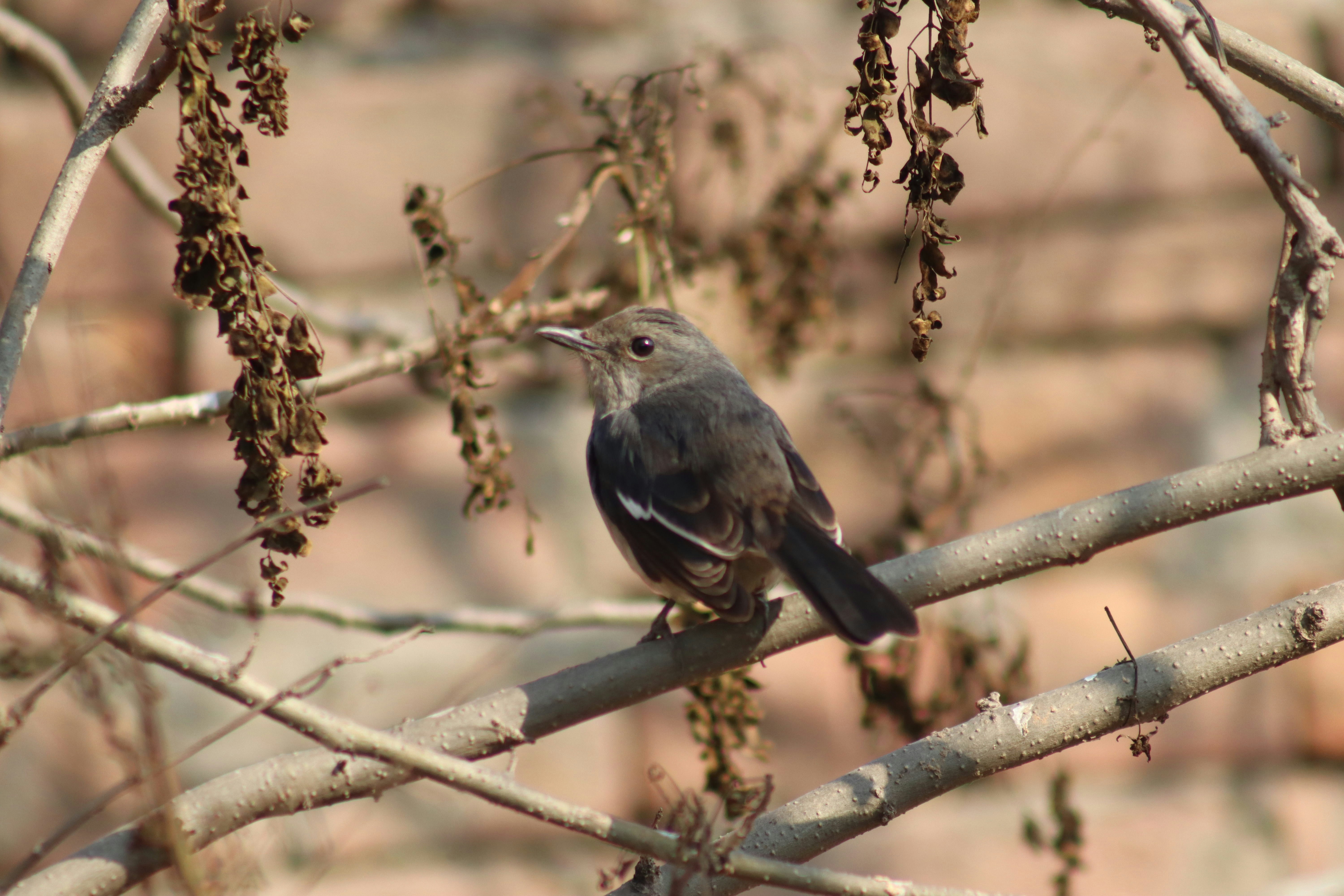 Photo by drphotographer152