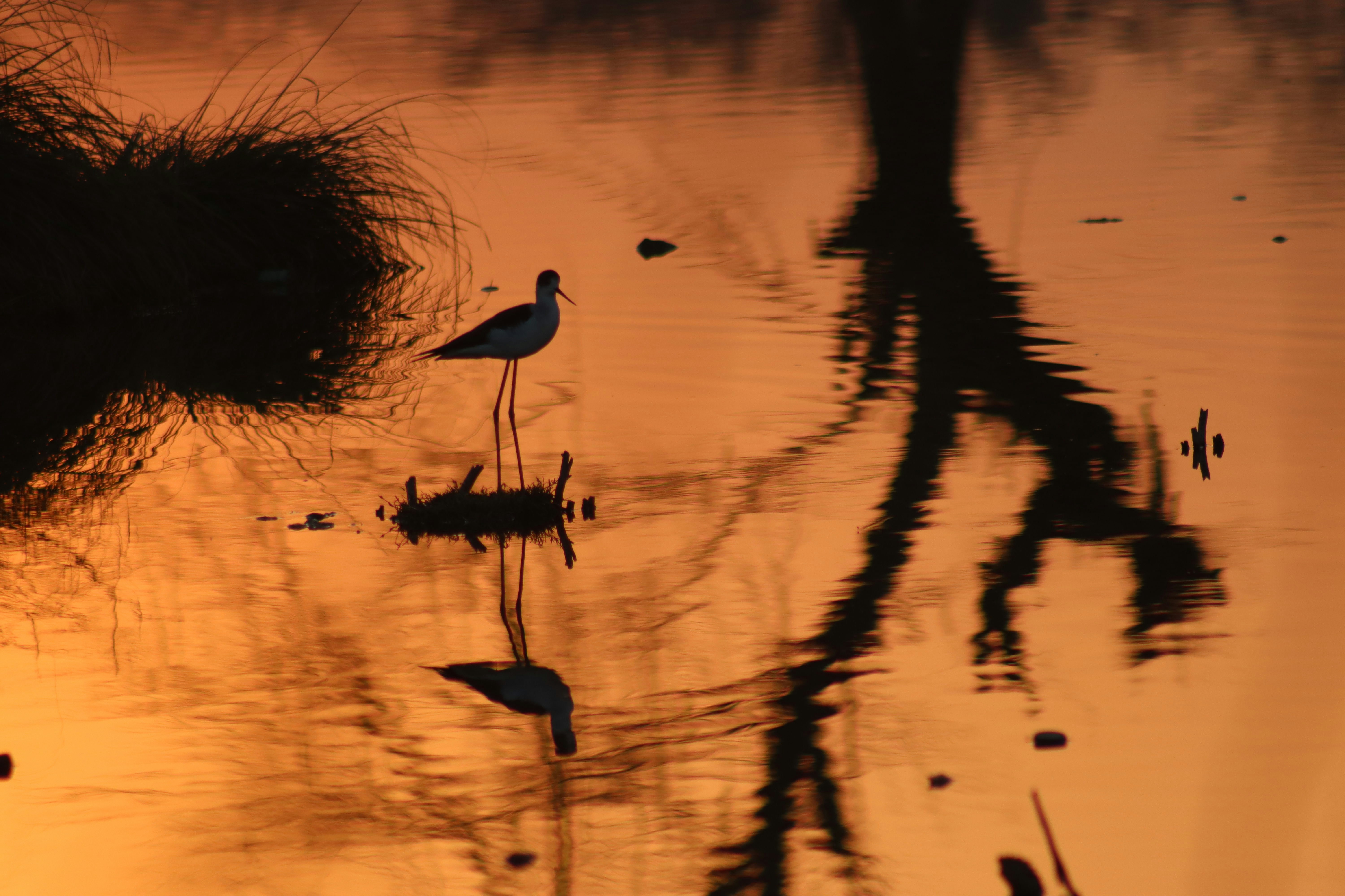 Photo by drphotographer152